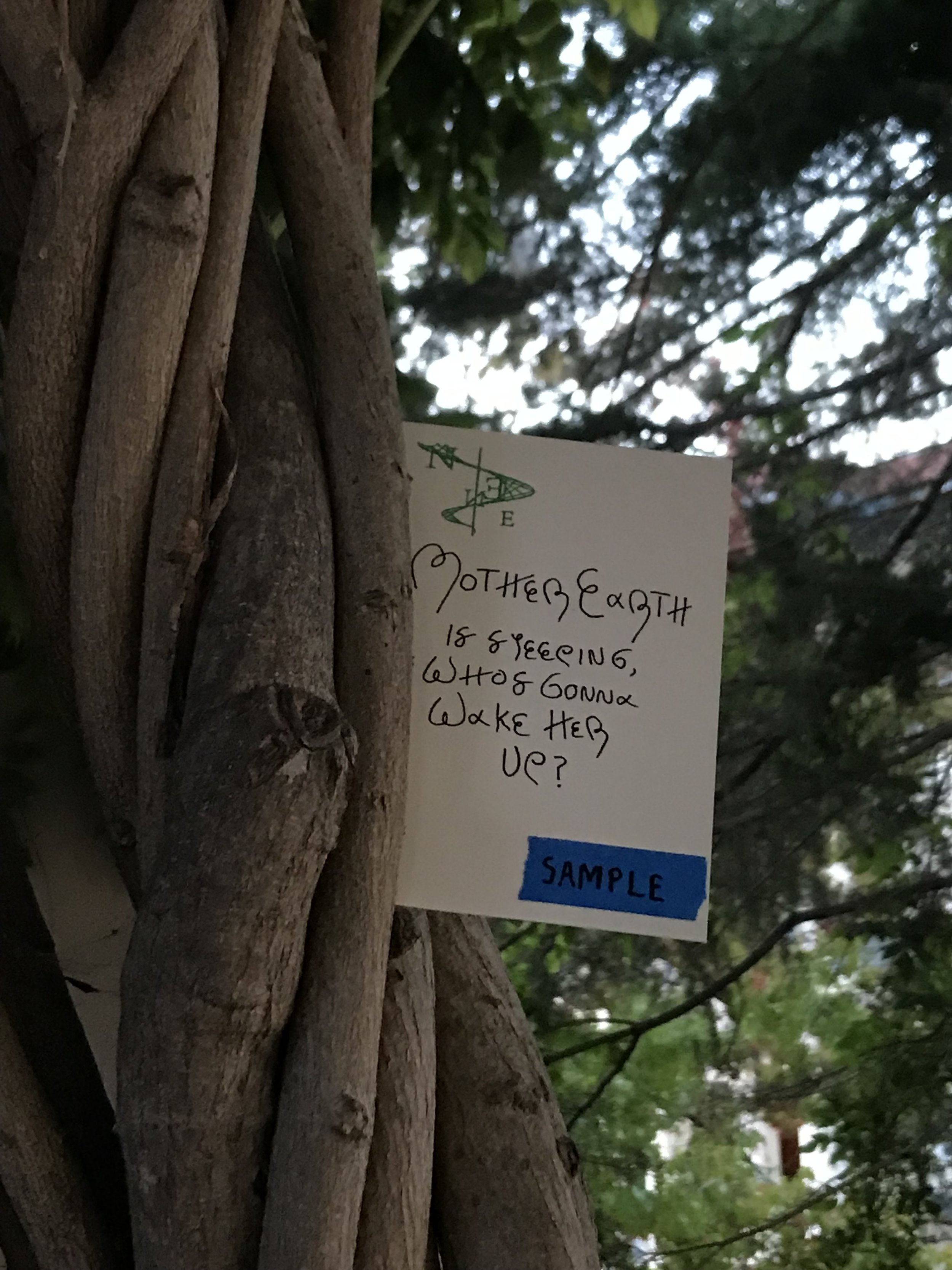 Seed Card (Process, 2022)