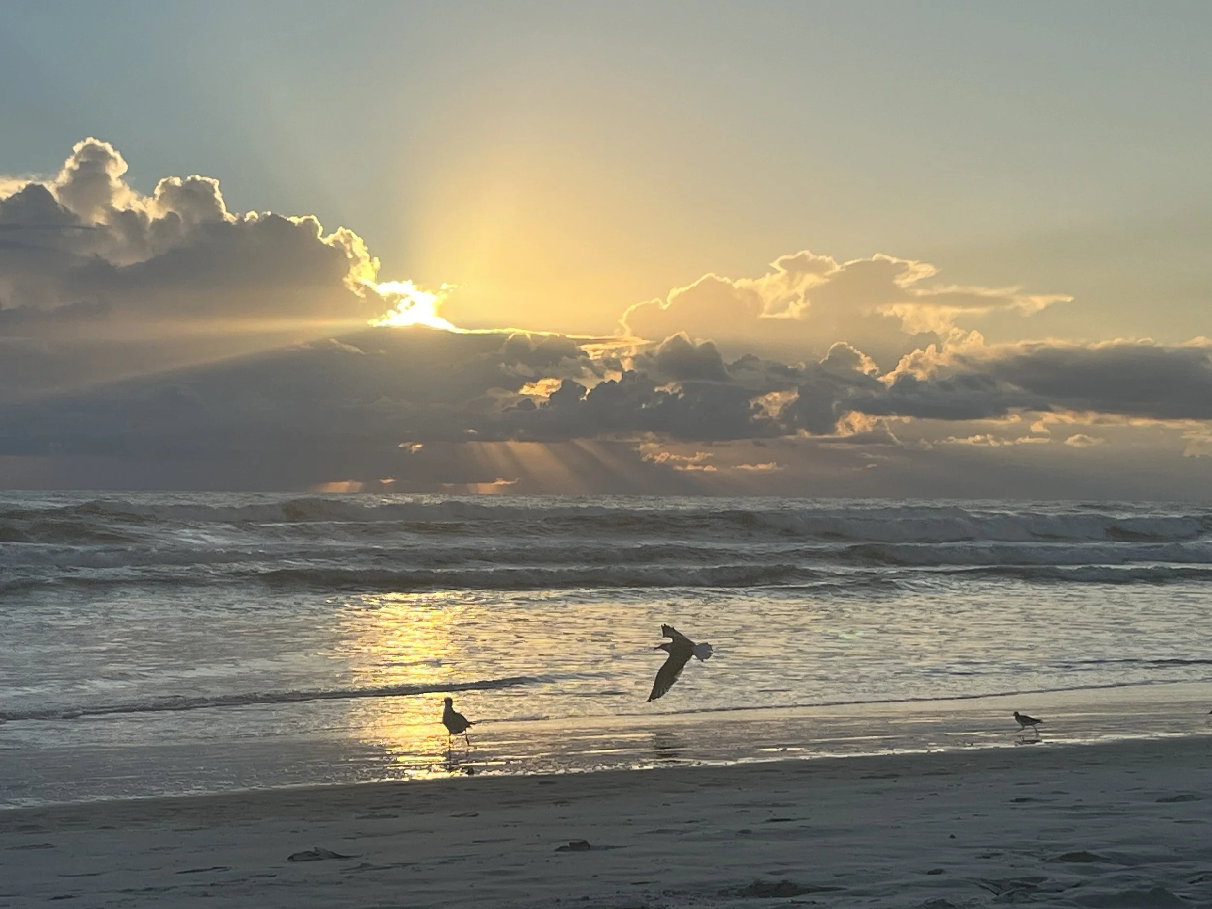 Intentional Living Series - Subconscious Programming - Online Event