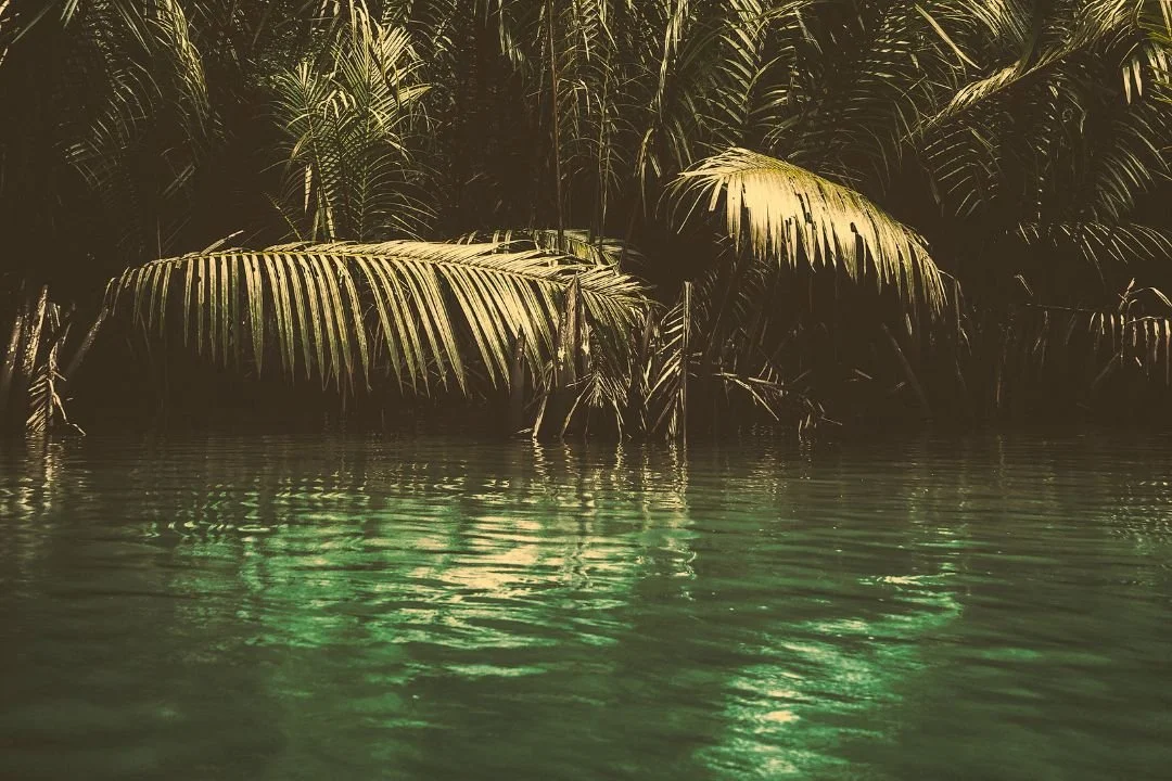 Guided Journey &amp; Sound Bath — Capitola, CA