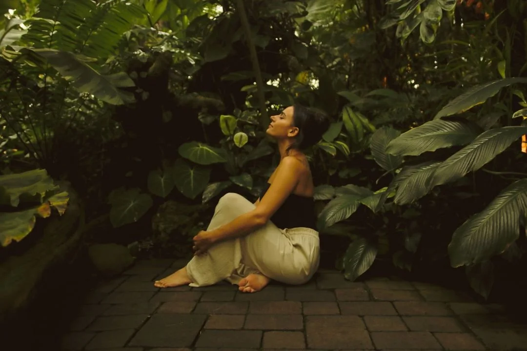 Past Life Regression Group Journey — Capitola, CA