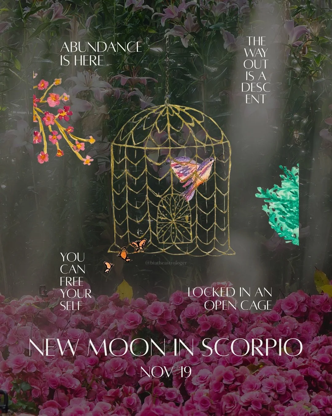 At the gateway to Sagittarius season (Nov 21), a New Lunar Cycle begins in Scorpio (Nov 19) as a moment of integration of the inner work we&rsquo;ve done over the last month. 
Our vital energy was invited to go deep, to work on what needed adjustment