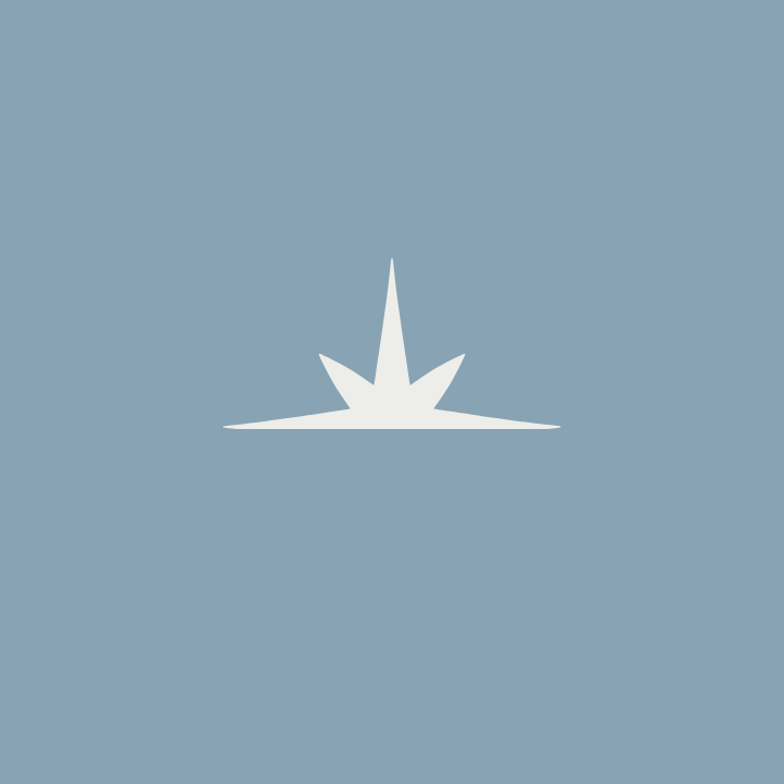 A stylized white geometric star shape centered on a light blue background.