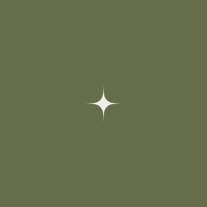 A white star-shaped sparkle on an olive green background.