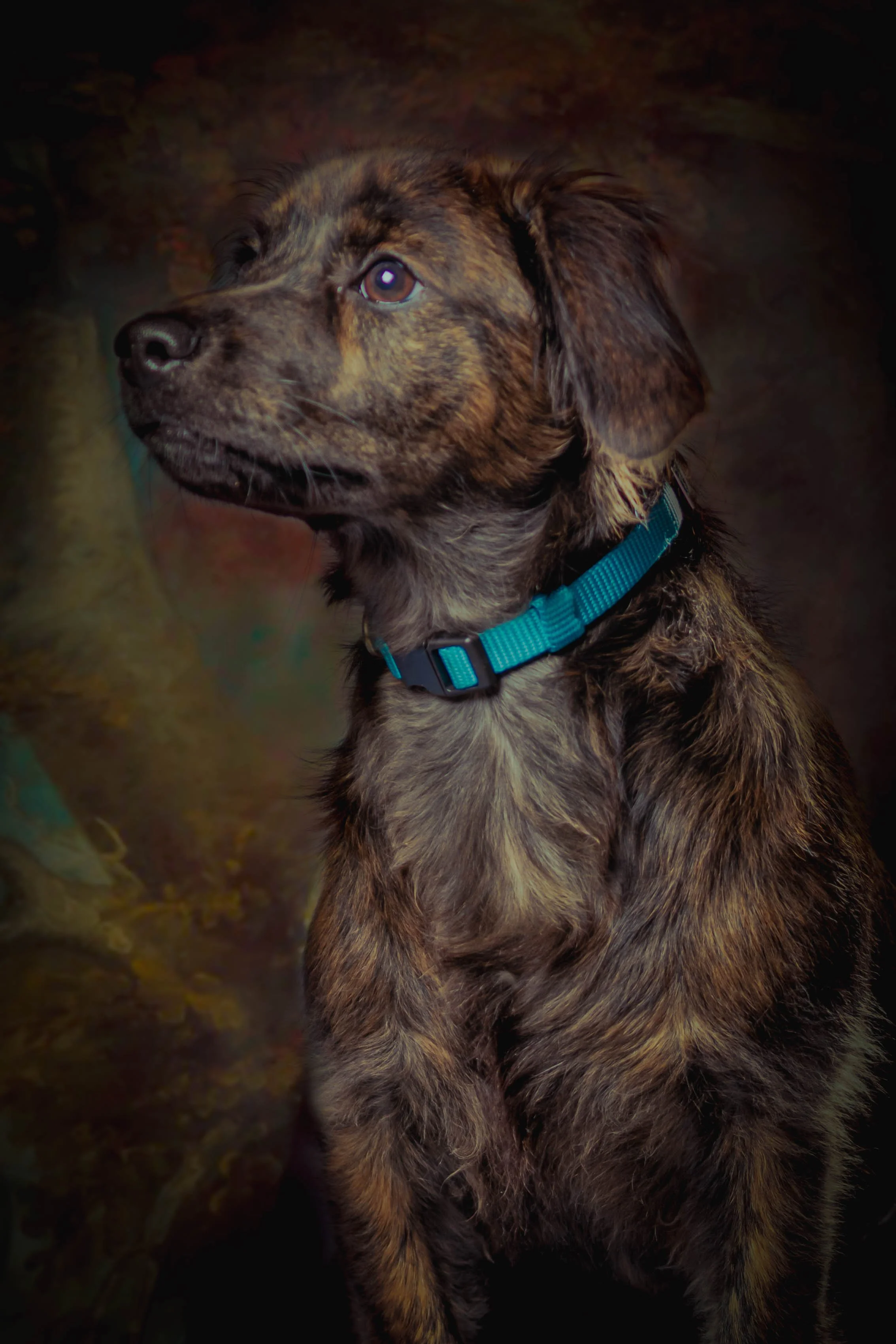 The namesake and inspiration of Peppercorns Studio - the dashing Mr. Peppercorns himself!