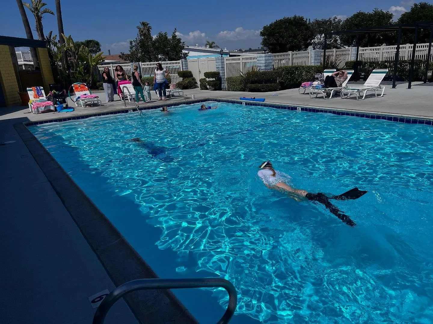 Teaching and practicing is off season. Summer is time to show off! #MermaidVibes
#UnderwaterMagic
#MermaidLife
#Finspired
#SwimWithPurpose
#TailGoals
#OceanQueen
#FintasticAdventures
#MyMermaidJourney
#SeaYouThere