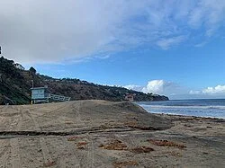 Finventurz Beach Clean up