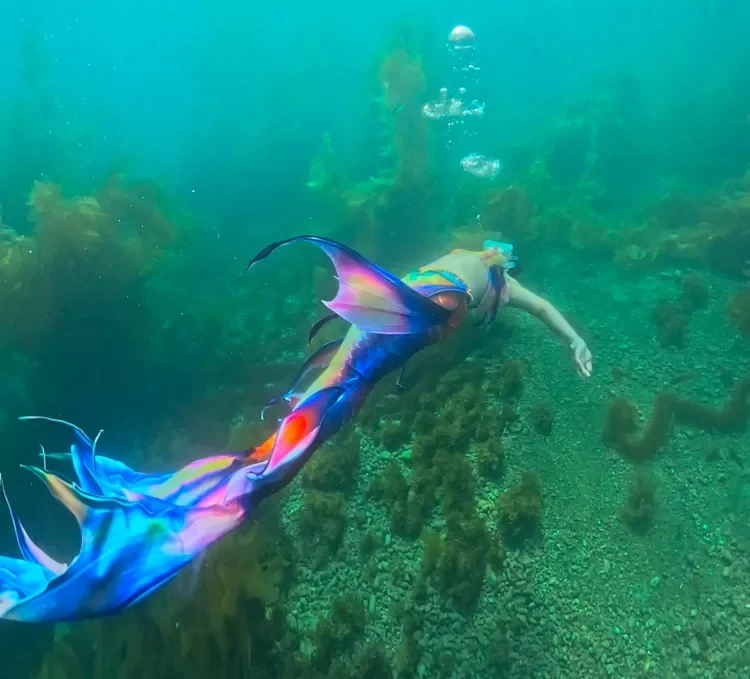 NATIONAL MERMAID DAY ON CATALINA 