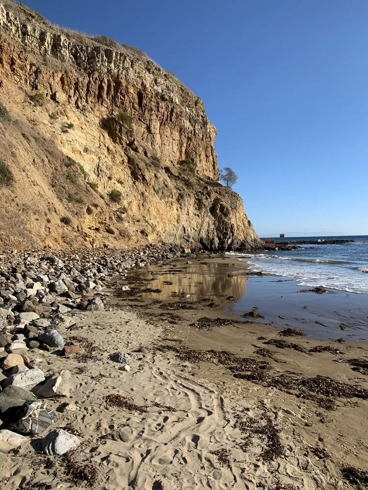 Abalone Cove Beach Clean up
