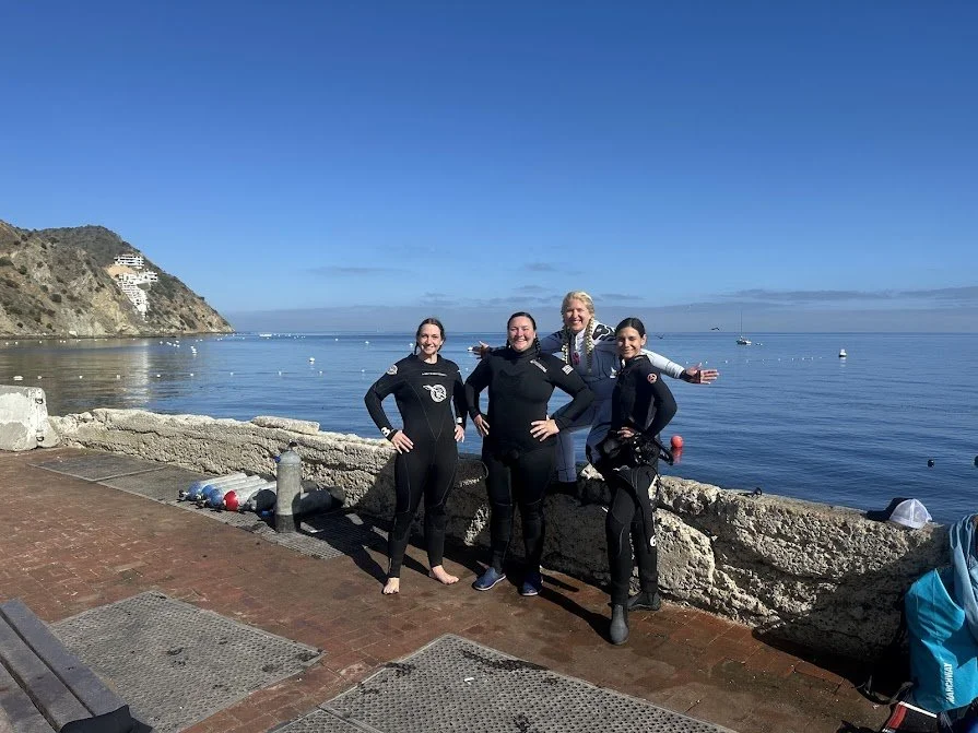 FinVenturez Swim Club