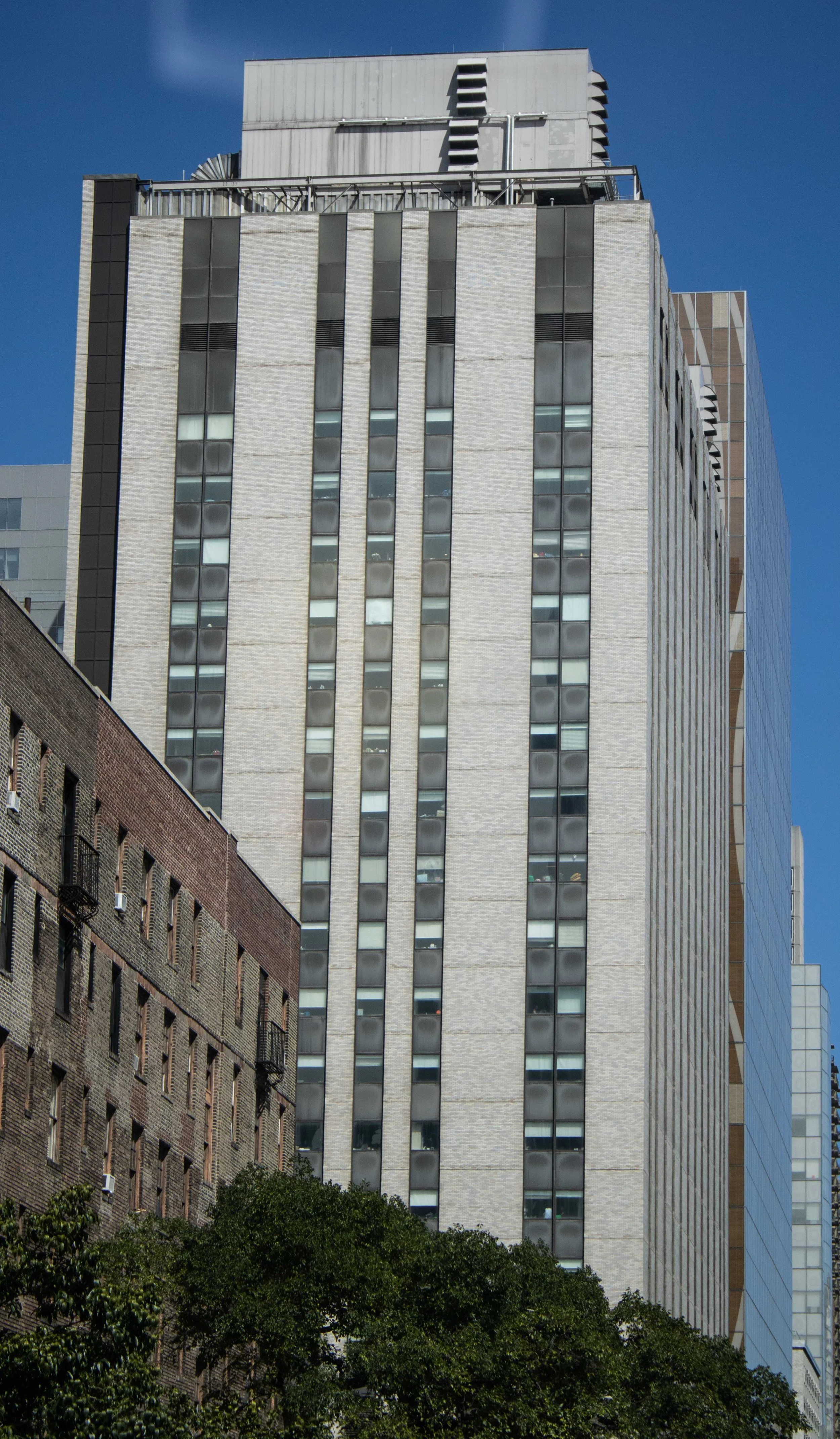 IMG_4484.jpg