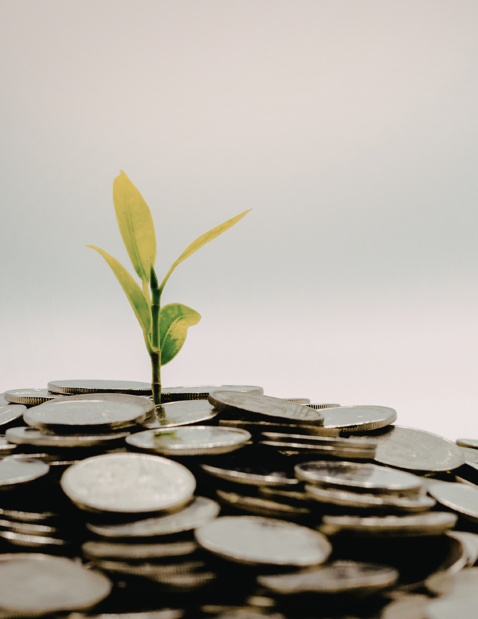 Tax-Loss Harvesting: Reducing Tax Liabilities/Enhancing Wealth