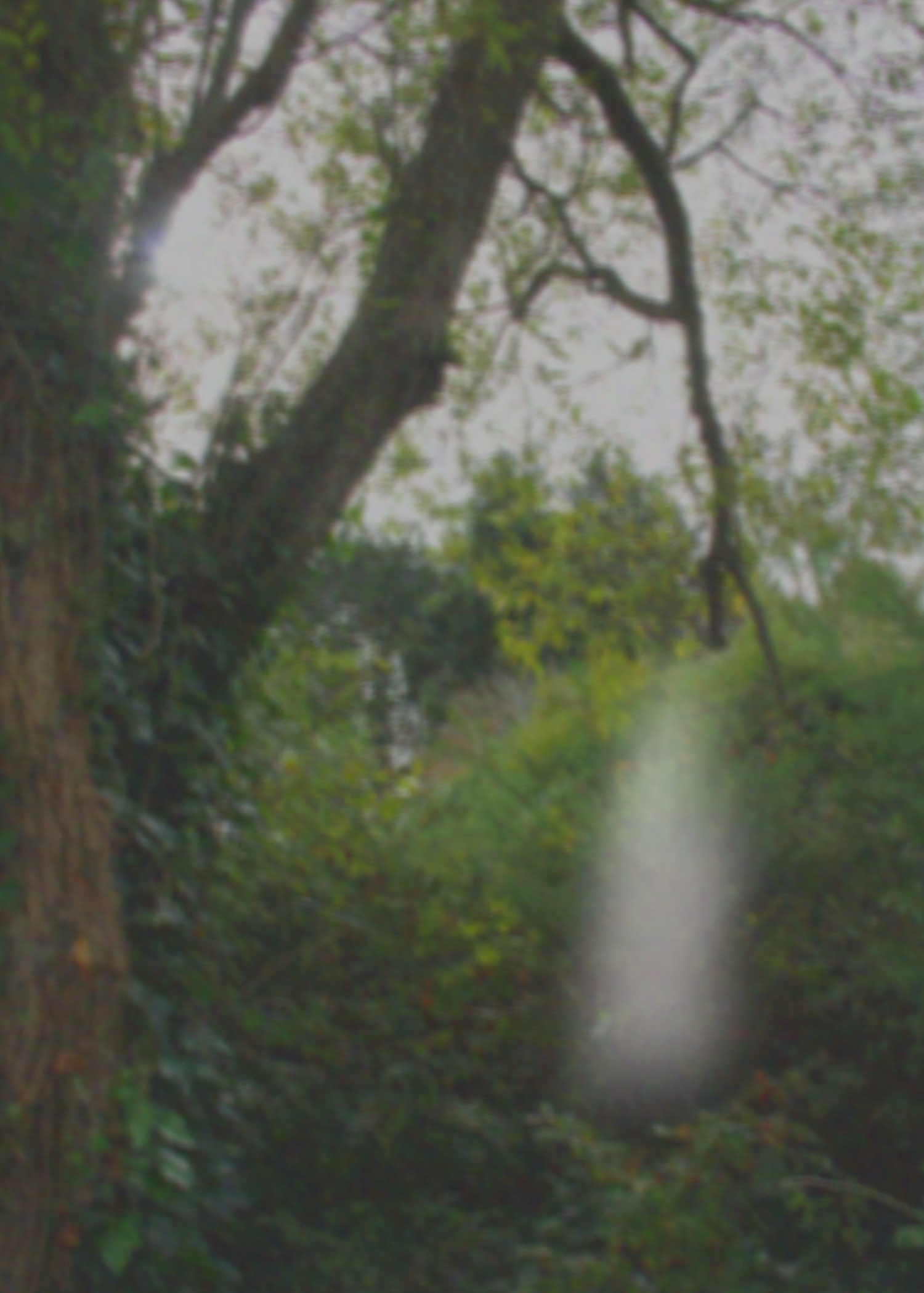 The Spirit (2024)