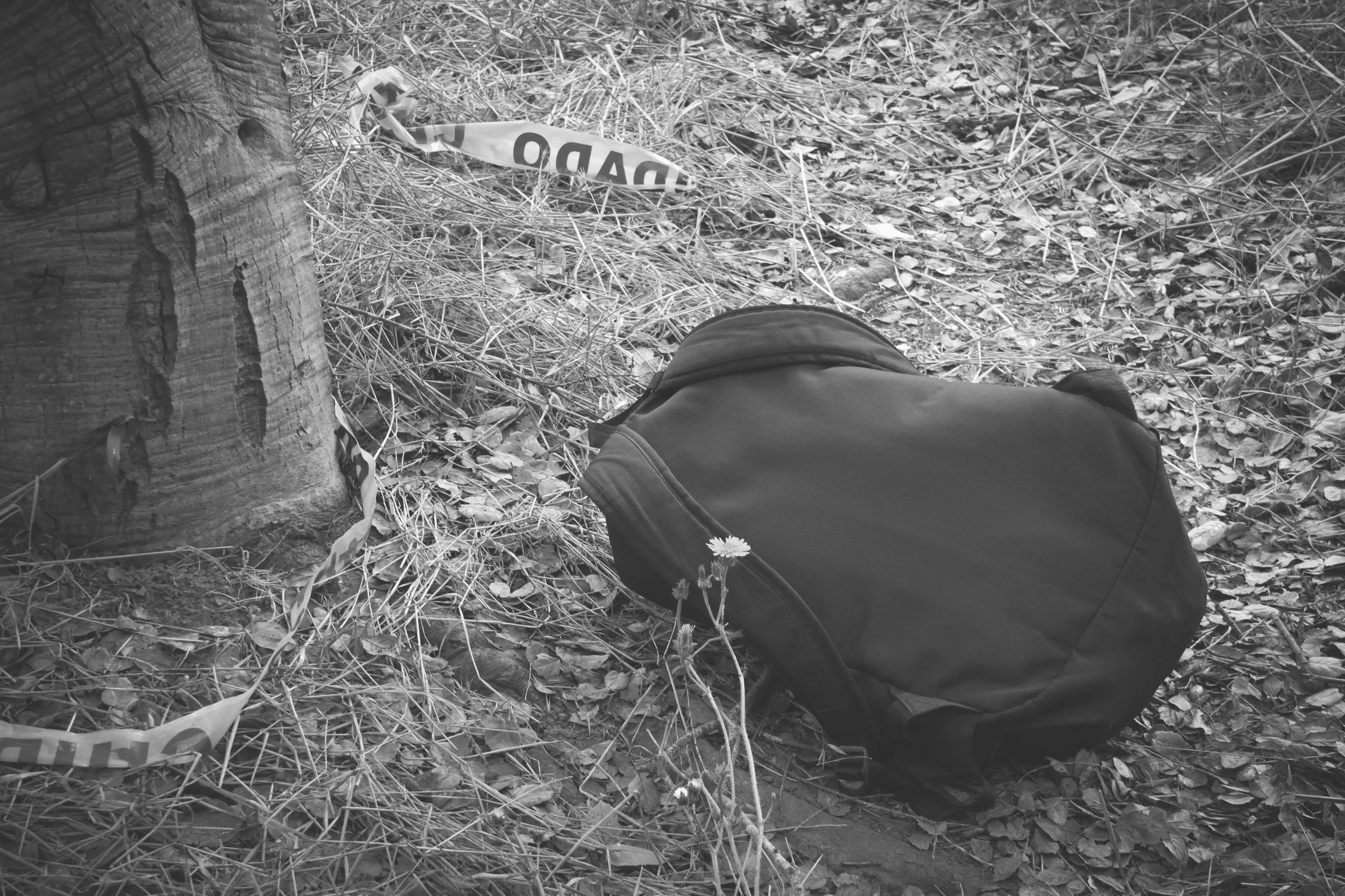 The Crime Scene (2024)