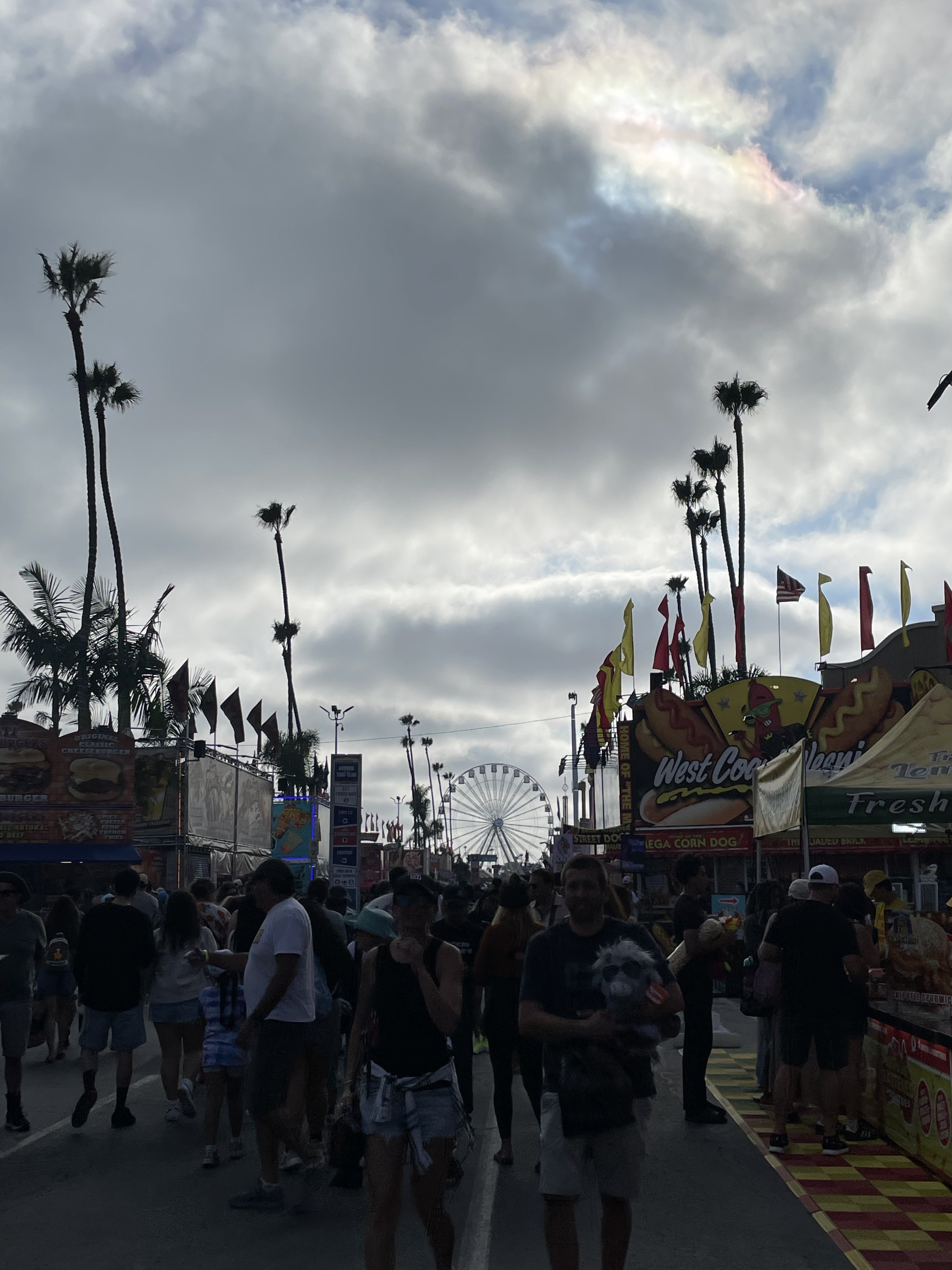 IMG_0026.jpeg