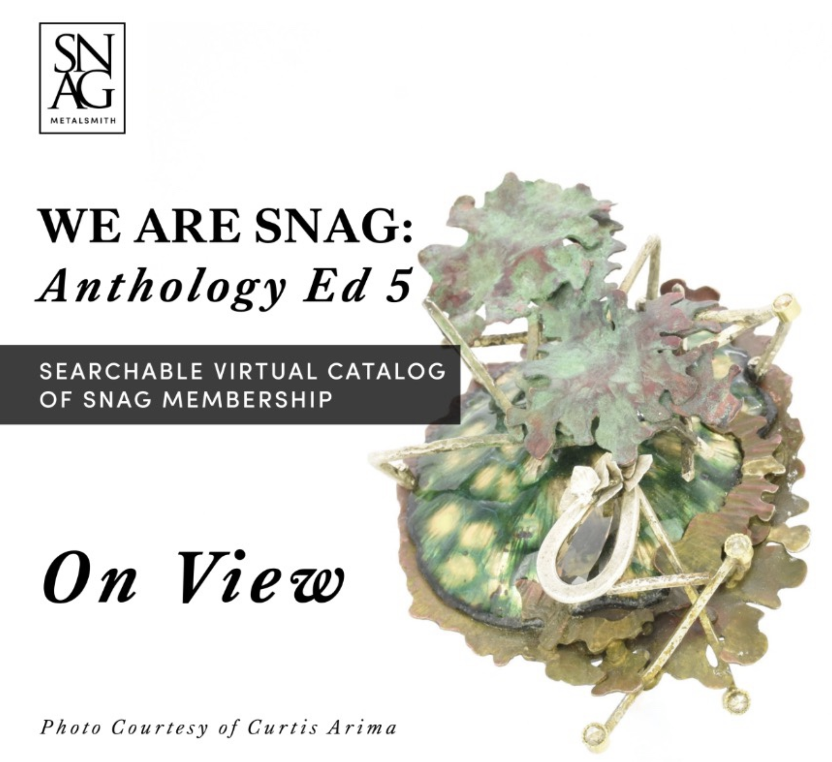 Screenshot 2026-02-02 at 10.40.24 AM.png