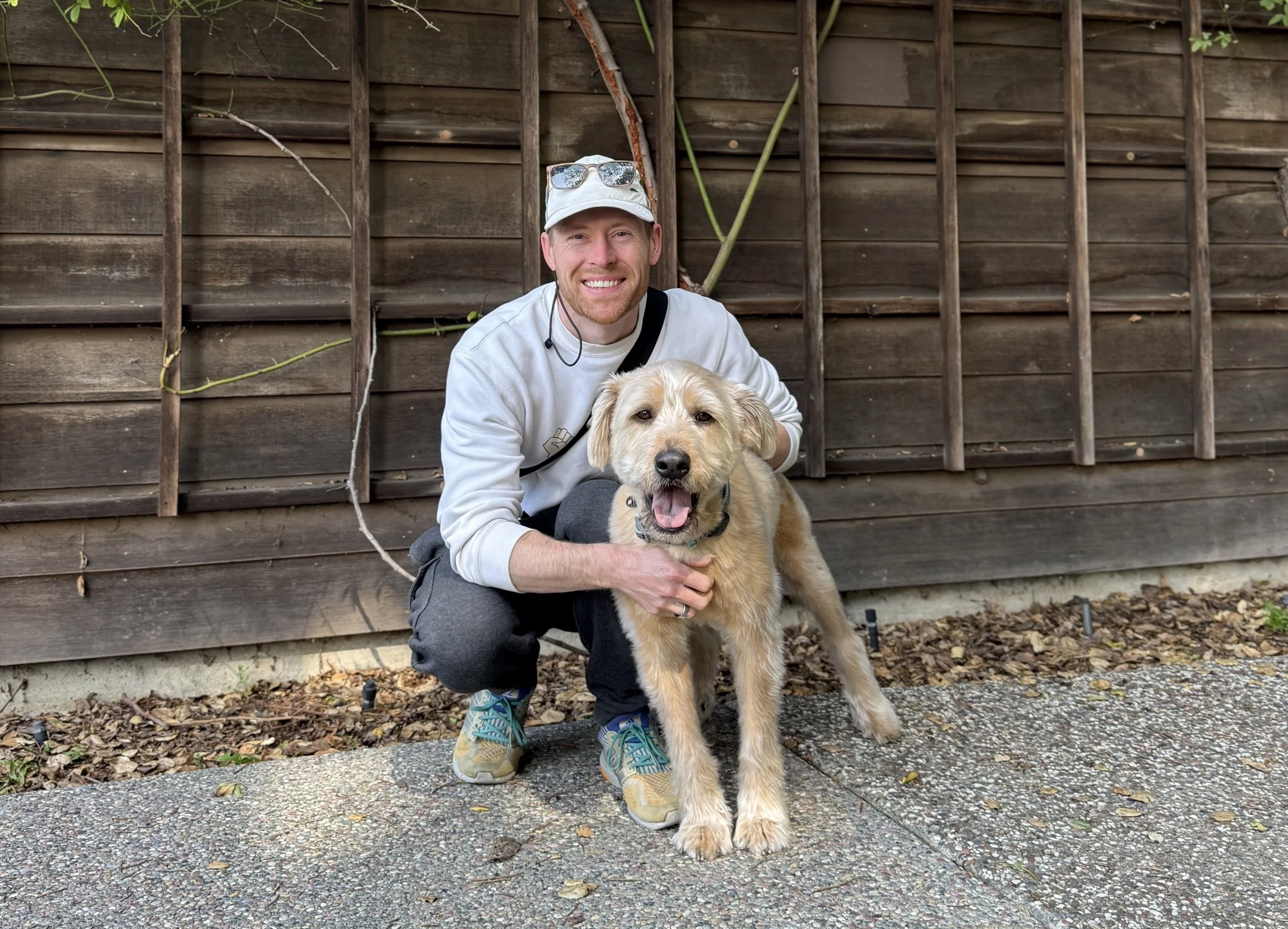 Mold dog and handler in the east bay