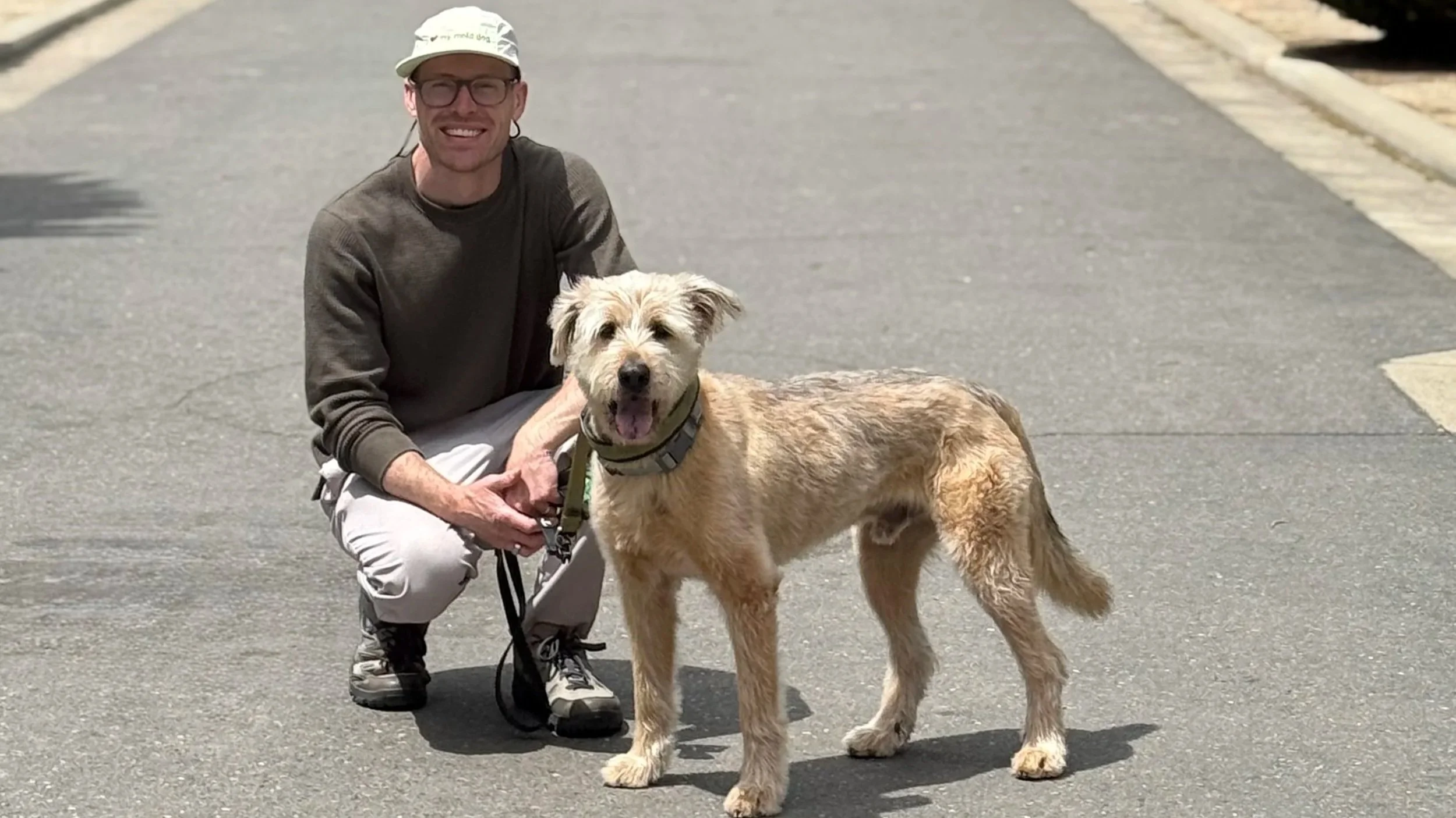 How are mold detection dogs trained?