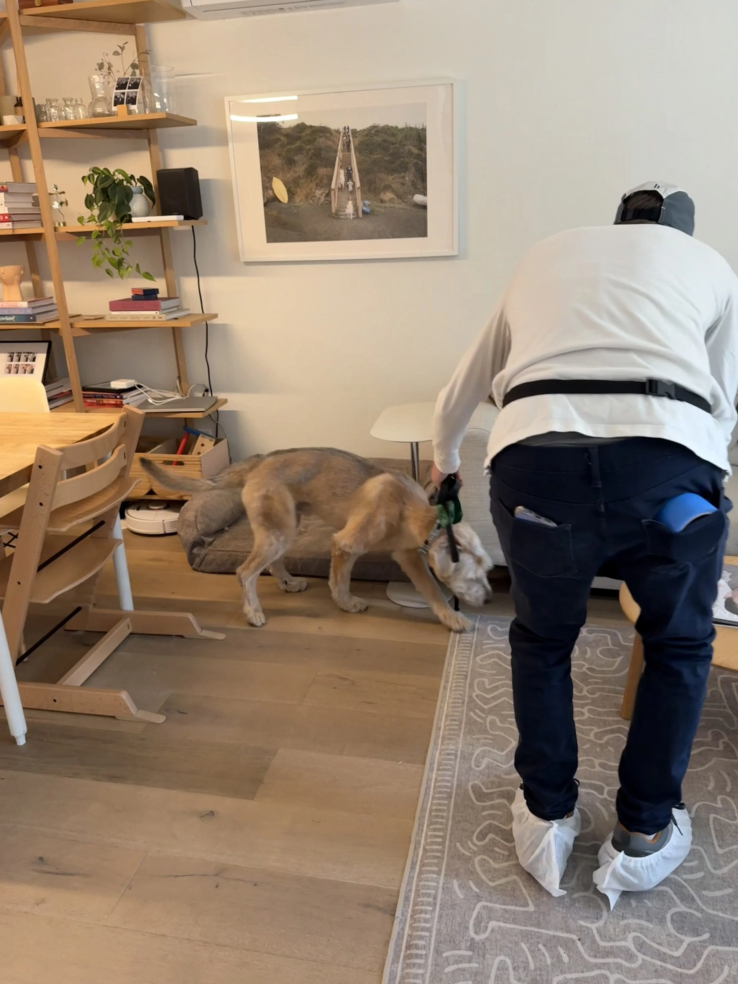 A man and his yellow mold dog inspecting a home for mold in SLO