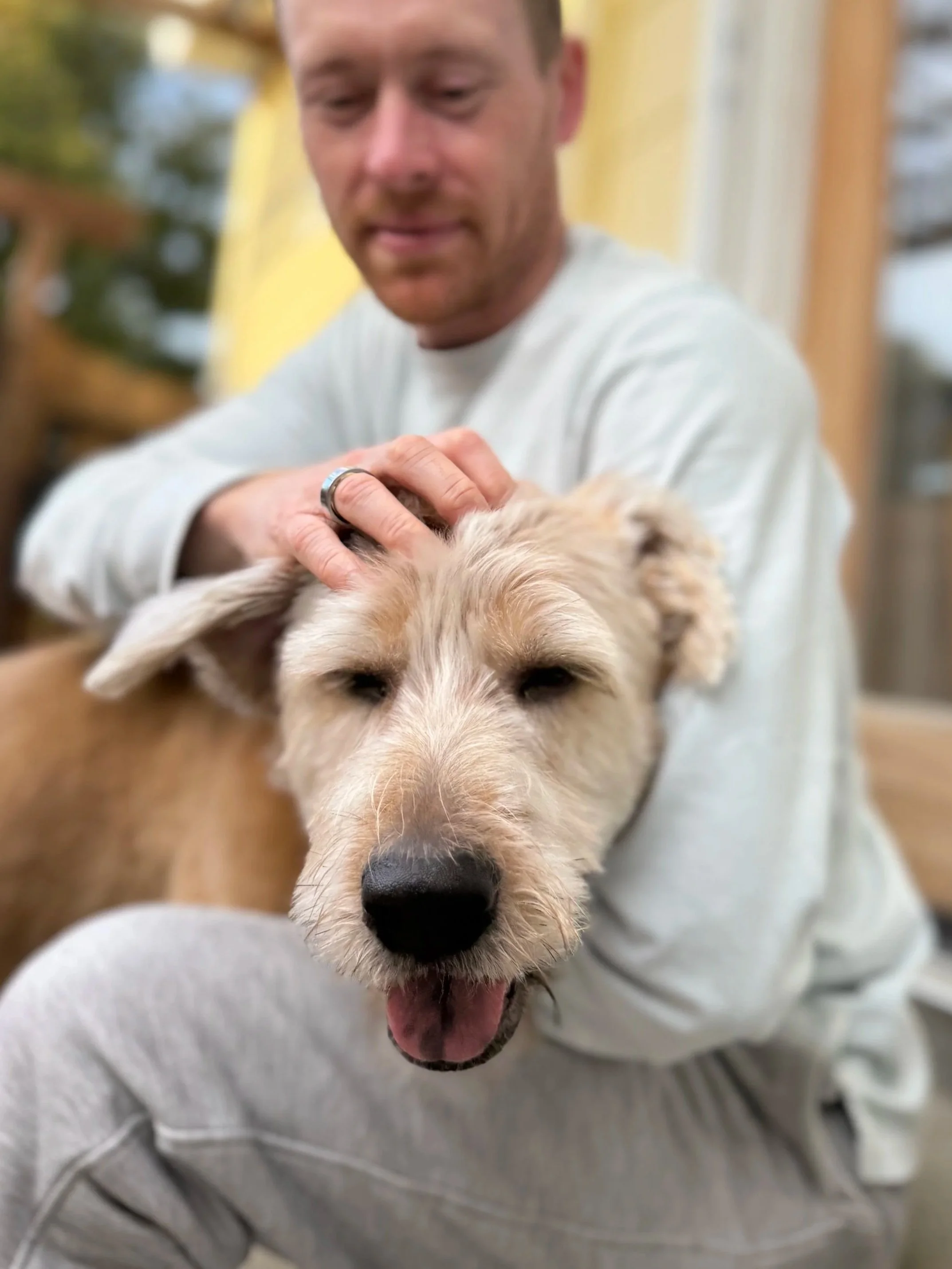 A man sitting and petting a tan dog