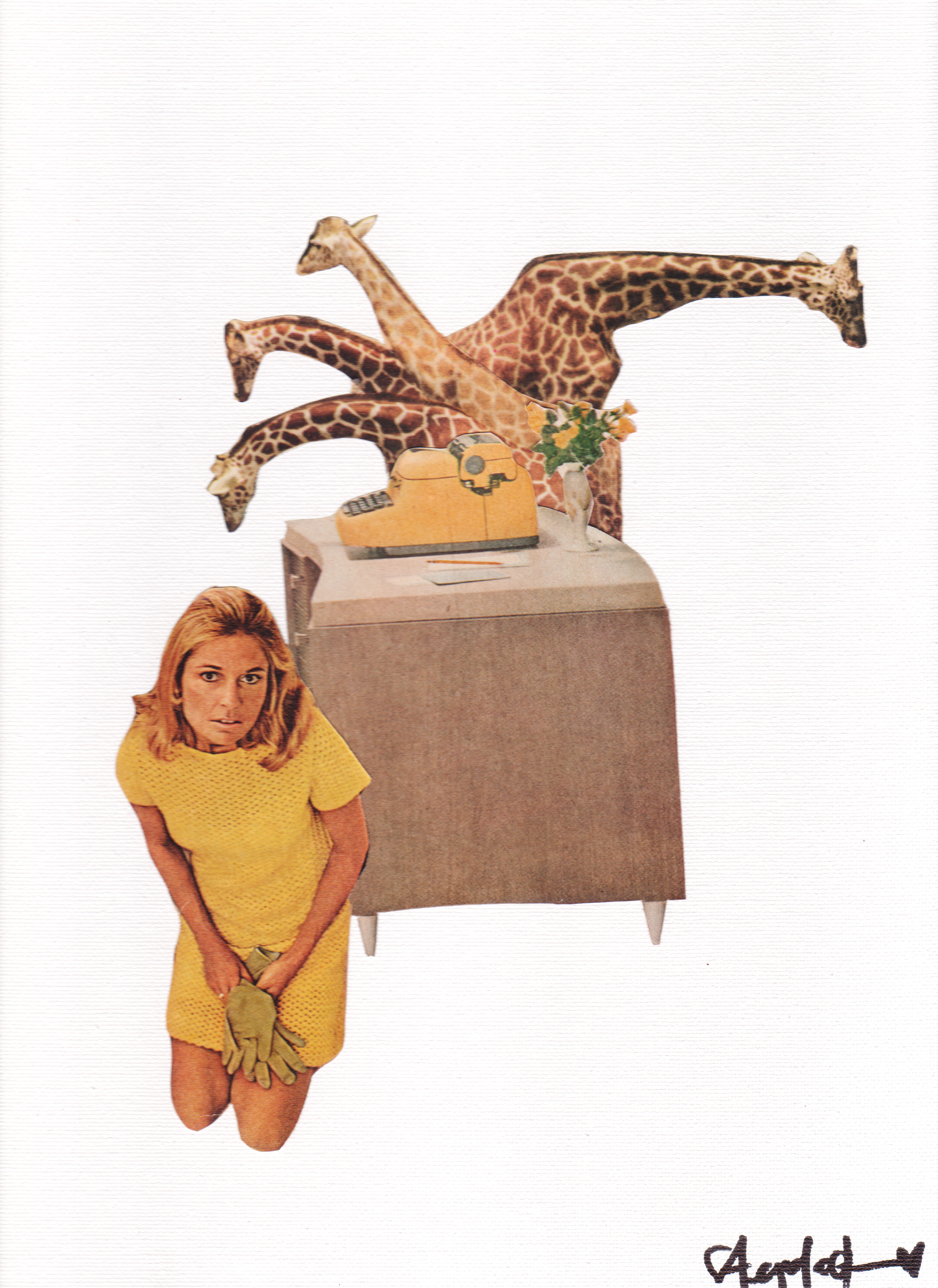 workplace zoo corrected.png