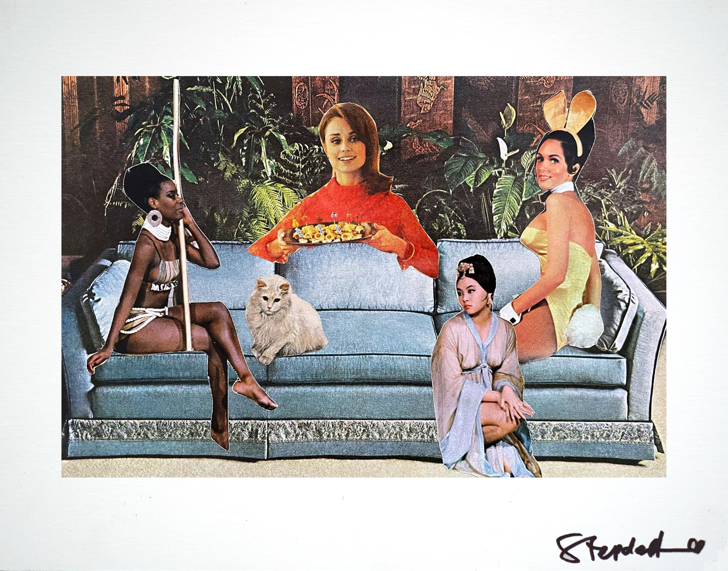 picture of my pets.png