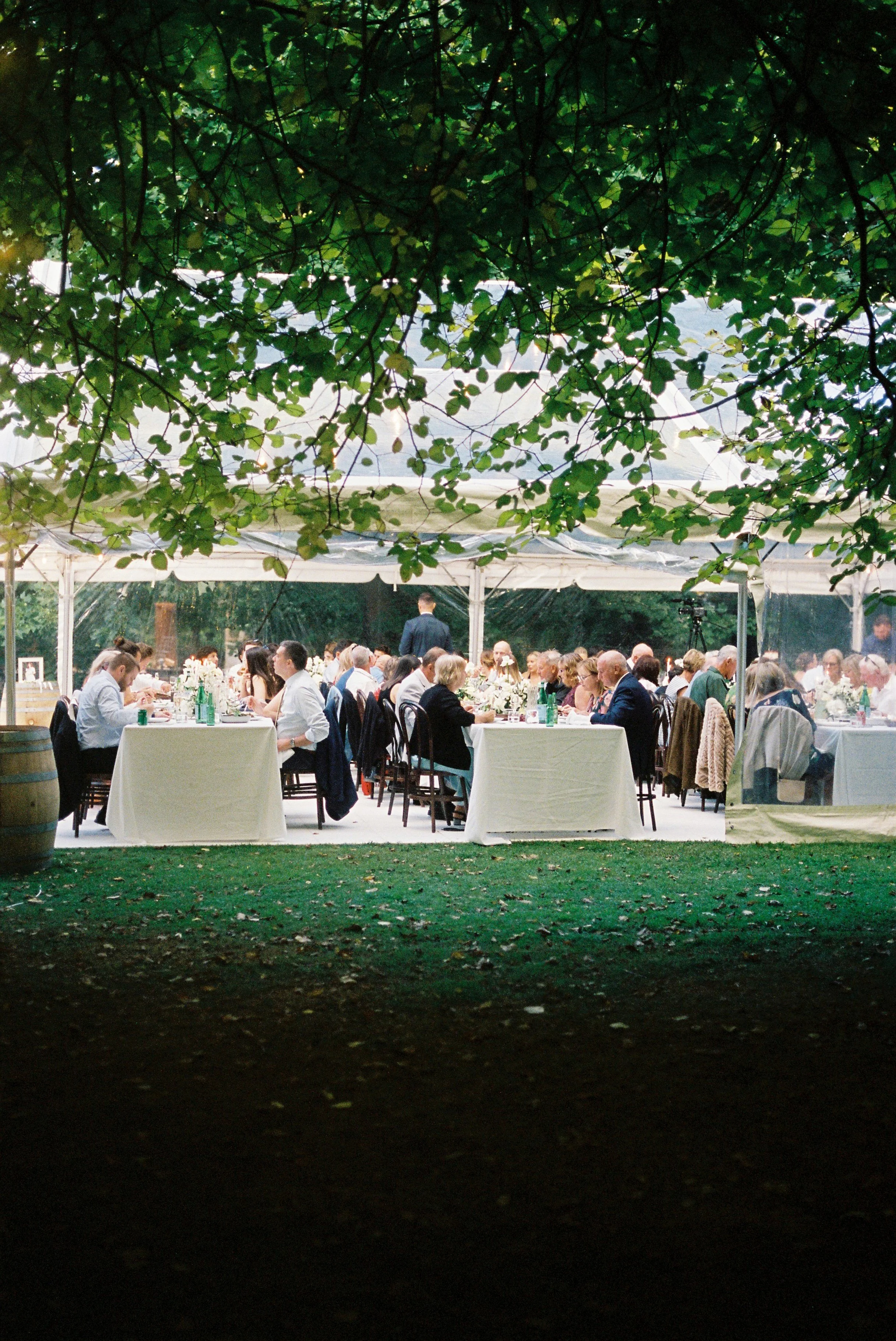 SavannahWa001273--000026.jpg