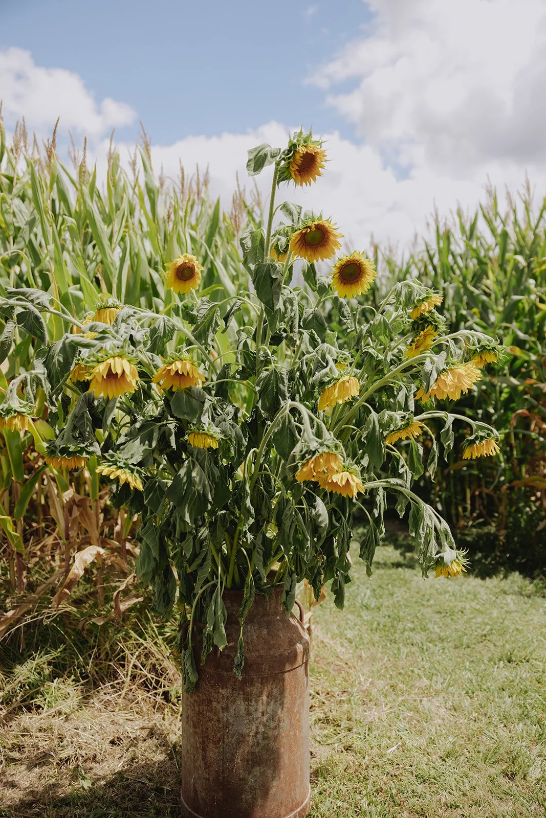 Savannah Walker R&J-515.jpg