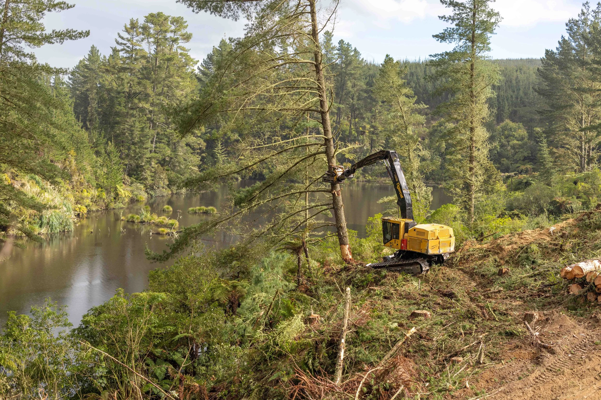 A yellow excavator cutting down a tall tree near a lake in a forested area.