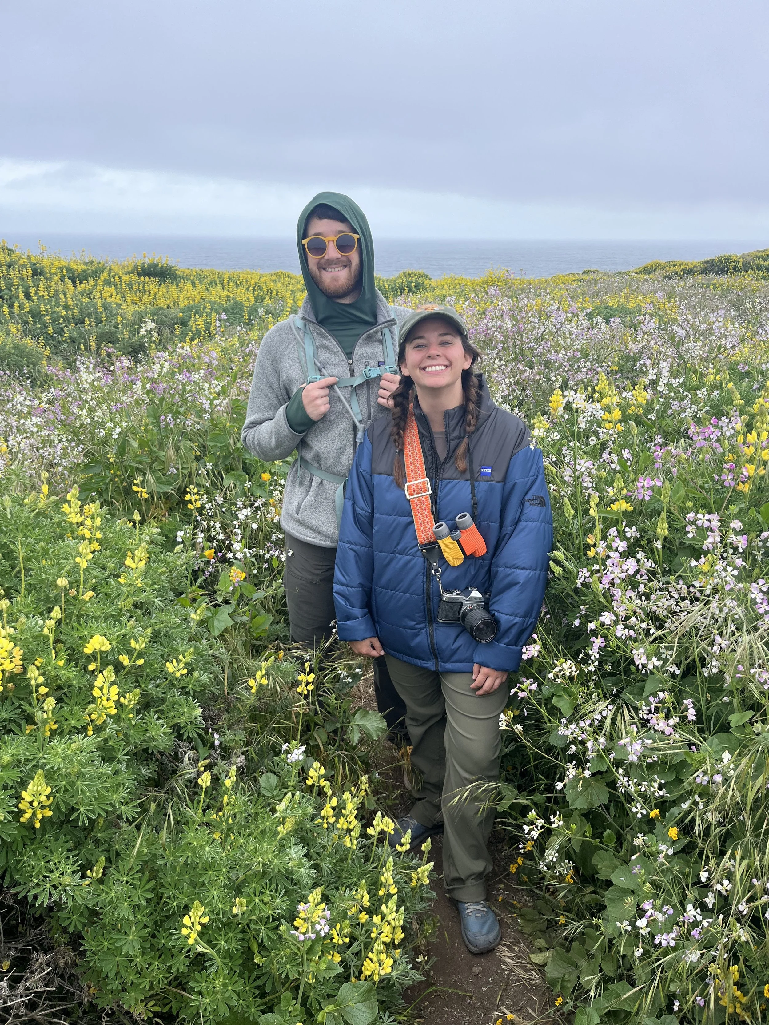 Tomales Point (April 2023)