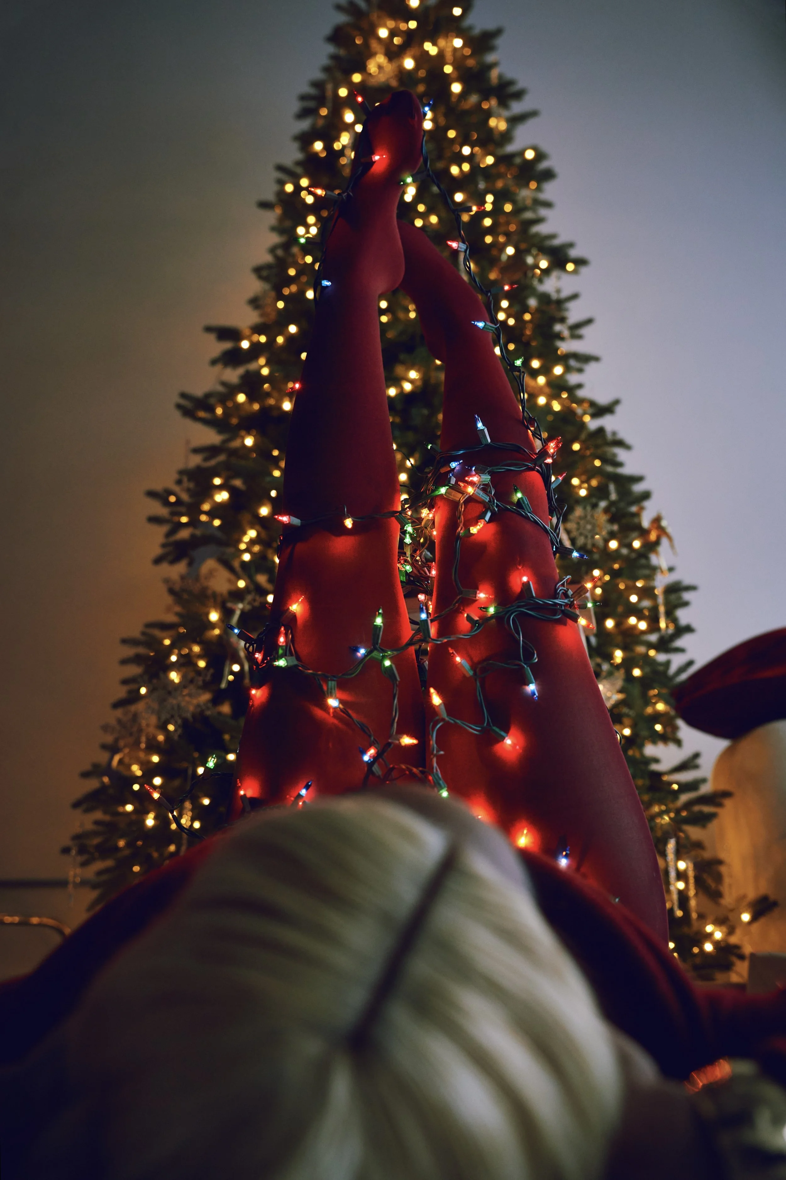 Photo Dec 11 2025, 4 58 25 PM.jpg