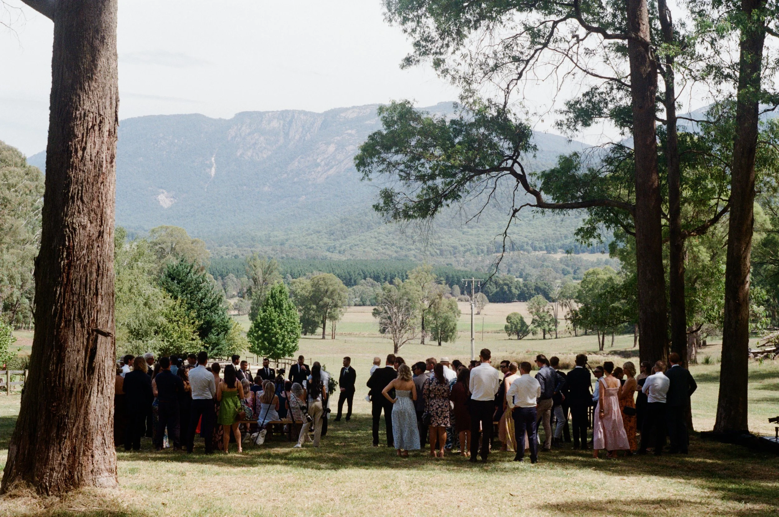A large gathering of people outdoors under trees with a scenic mountain view in the background.