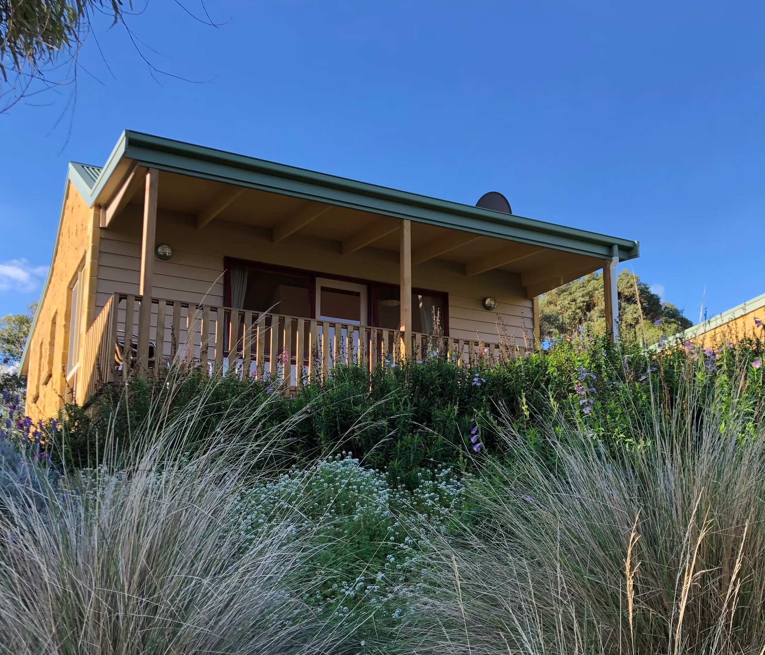 Daisy cottage exterior.png