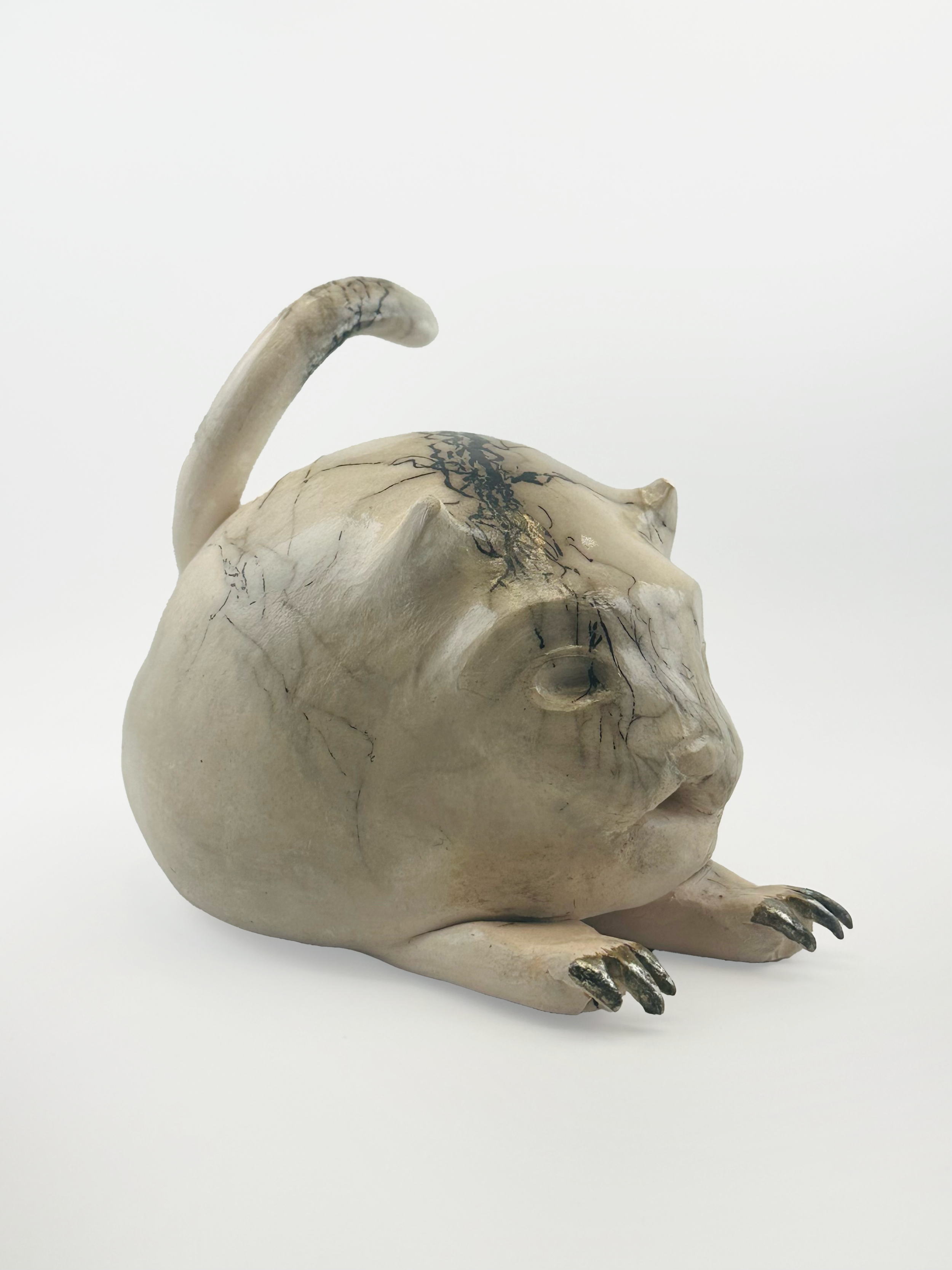 white cat 2.png
