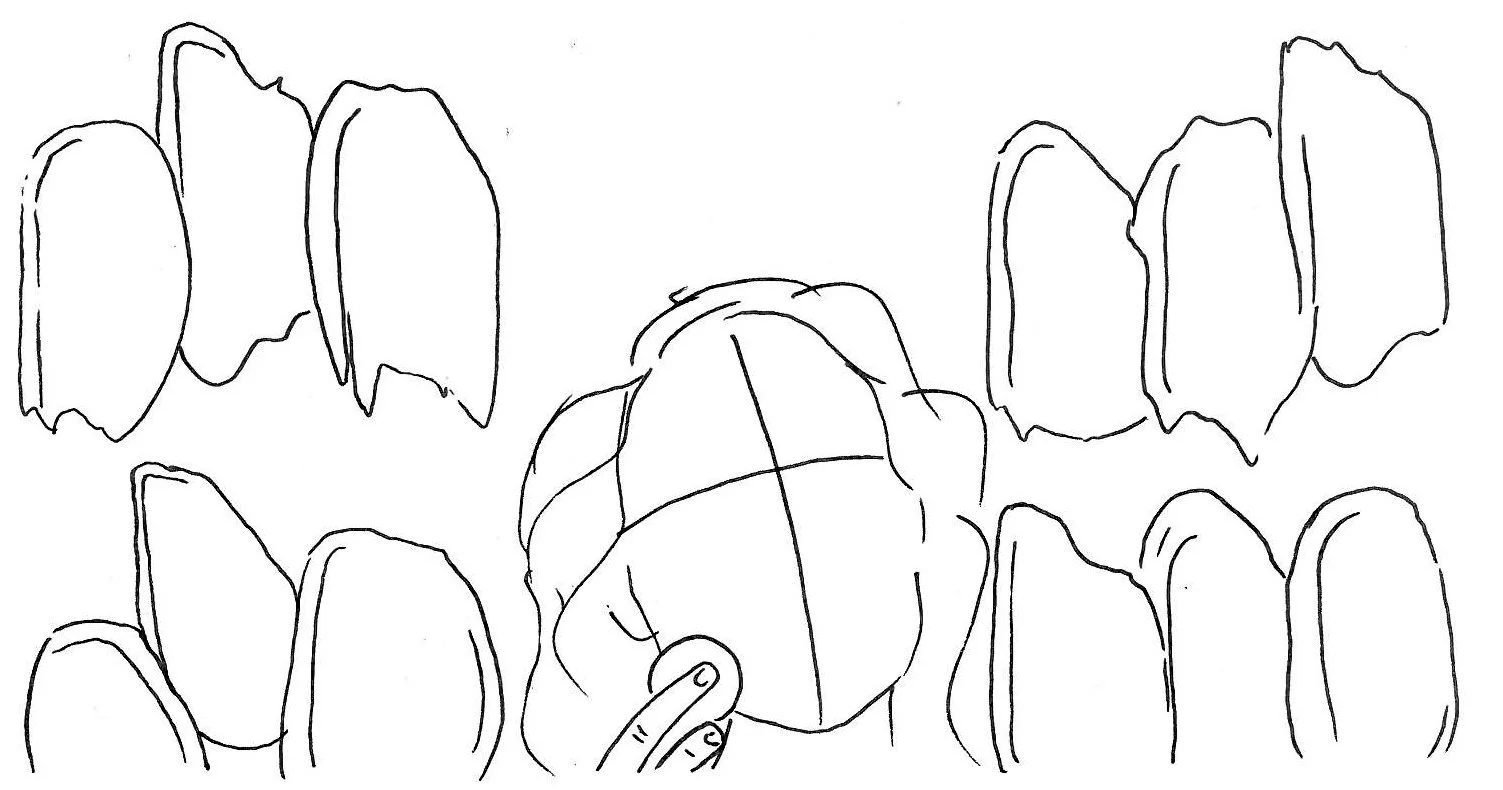 MATTE PERFECTION_revised4.jpg
