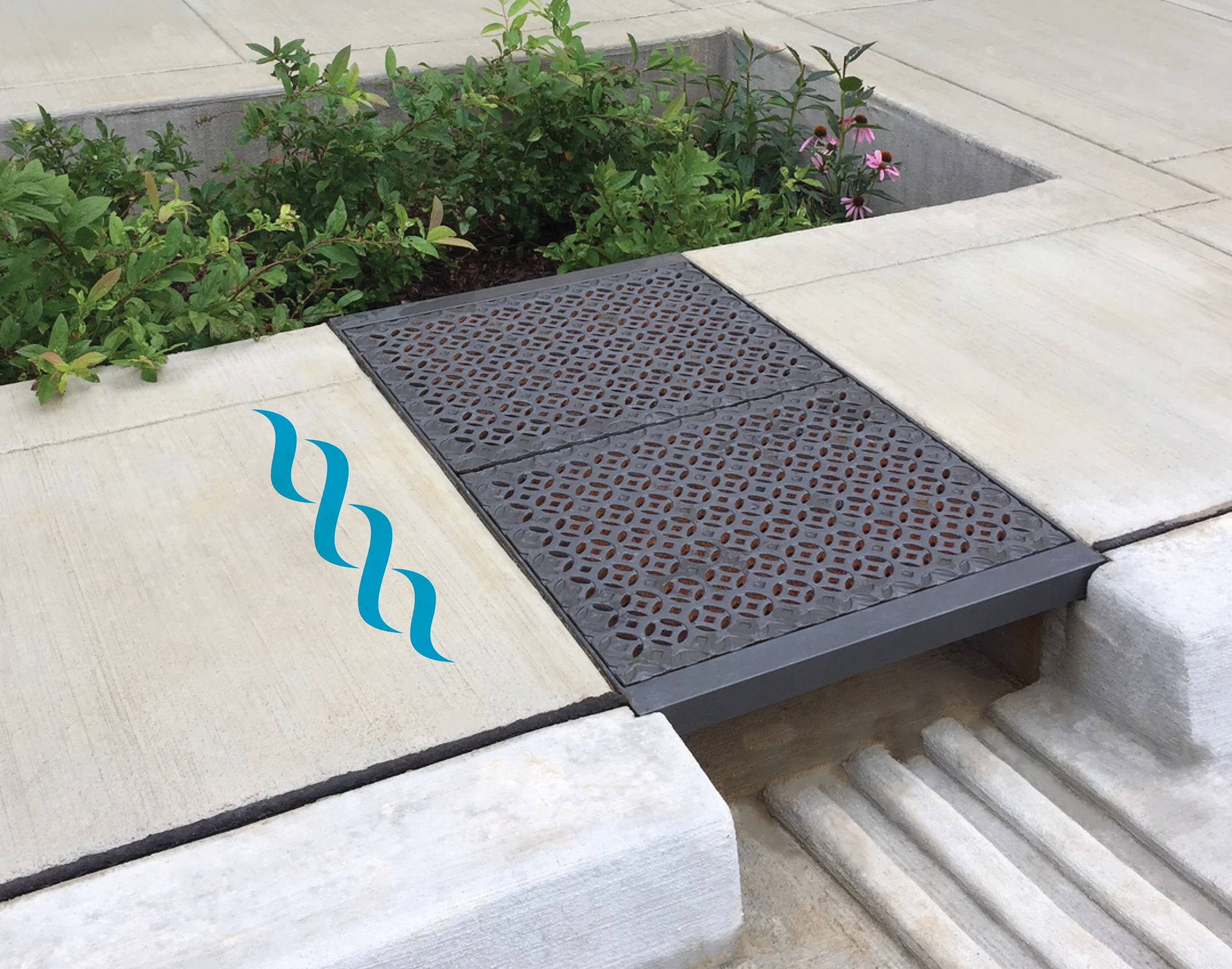 Trinity Storm Drain_Rain Garden_for portfolio.jpg