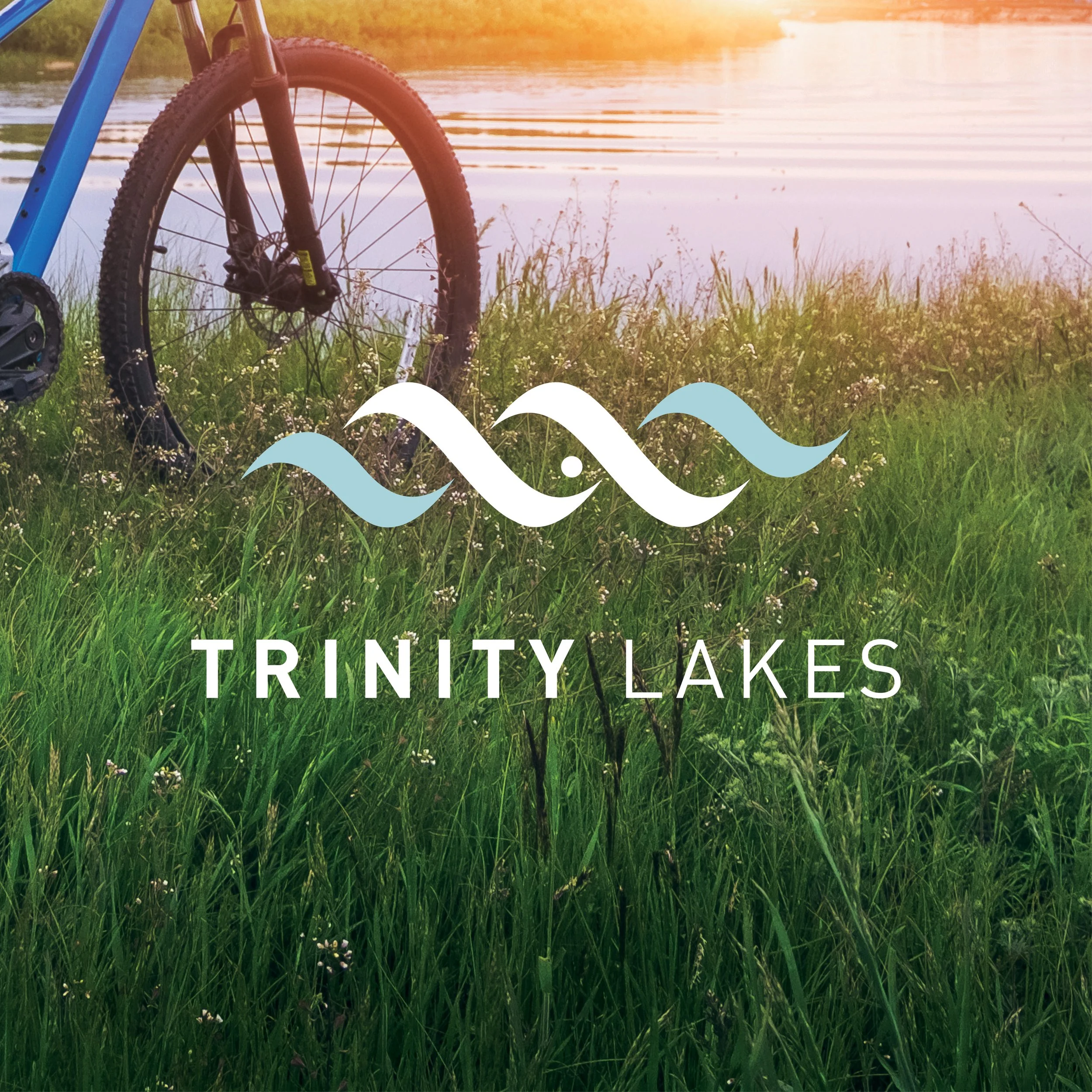 Trinity & 3 brands for IG4.jpg