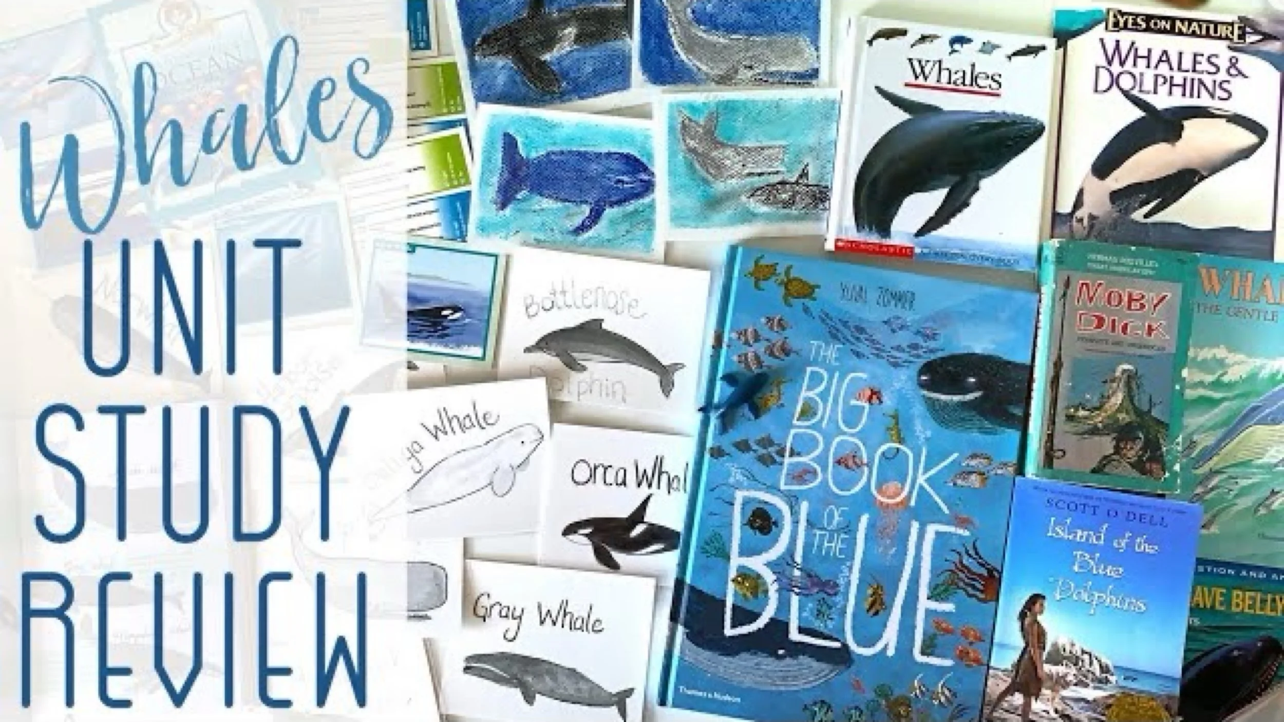 JPEG image-D4196C40398A-1.jpeg