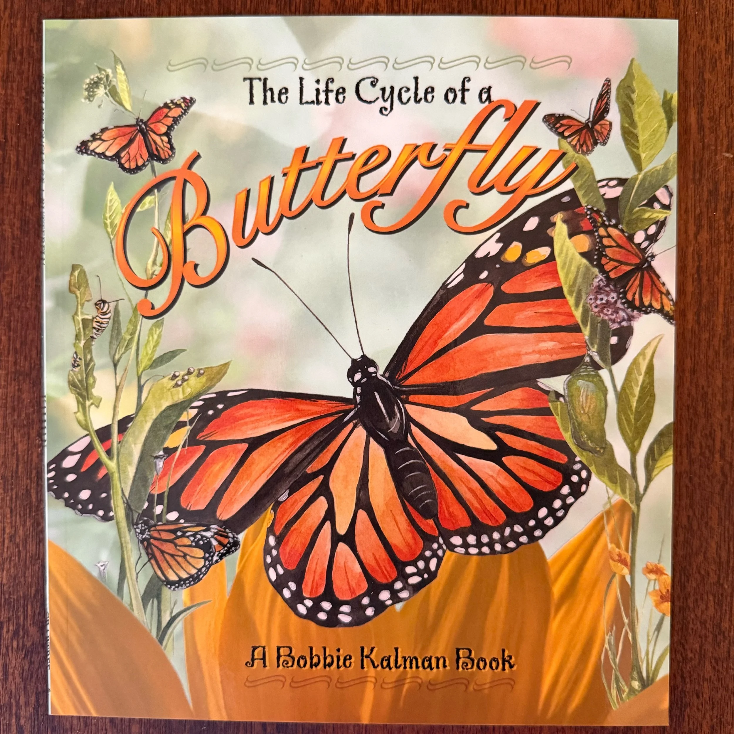 JPEG image-863423DABED0-1.jpeg