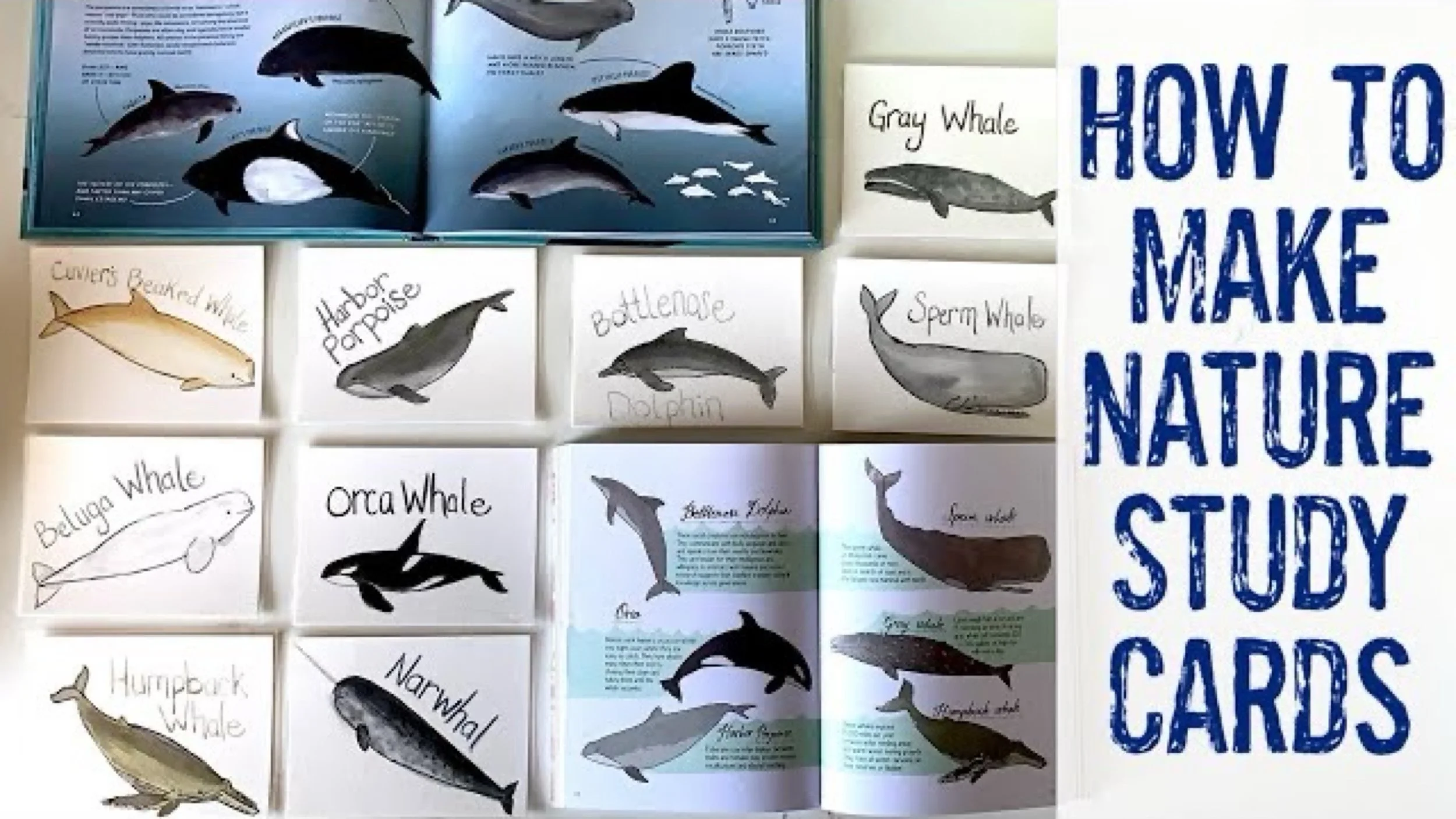 JPEG image-5E493034D985-1.jpeg