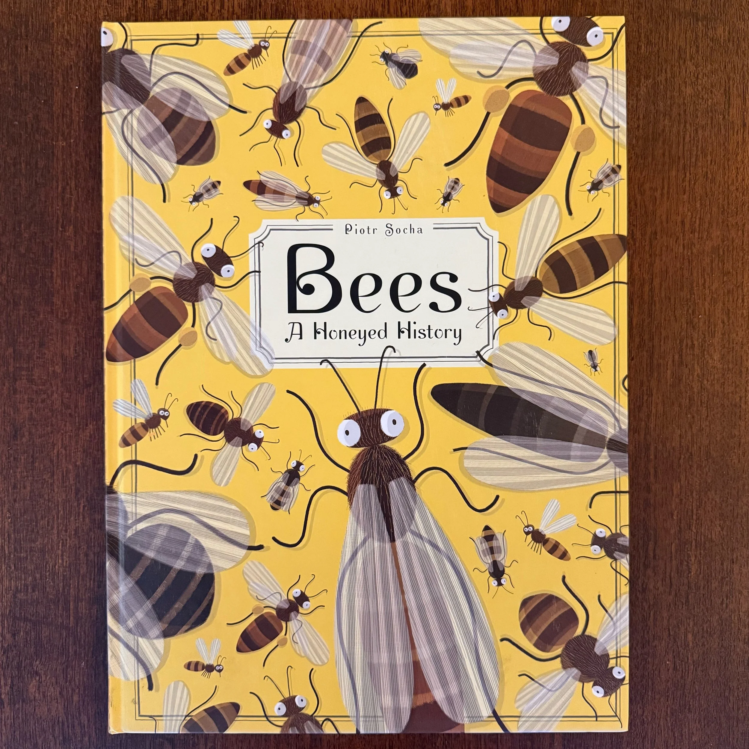 JPEG image-436051E73A1E-1.jpeg