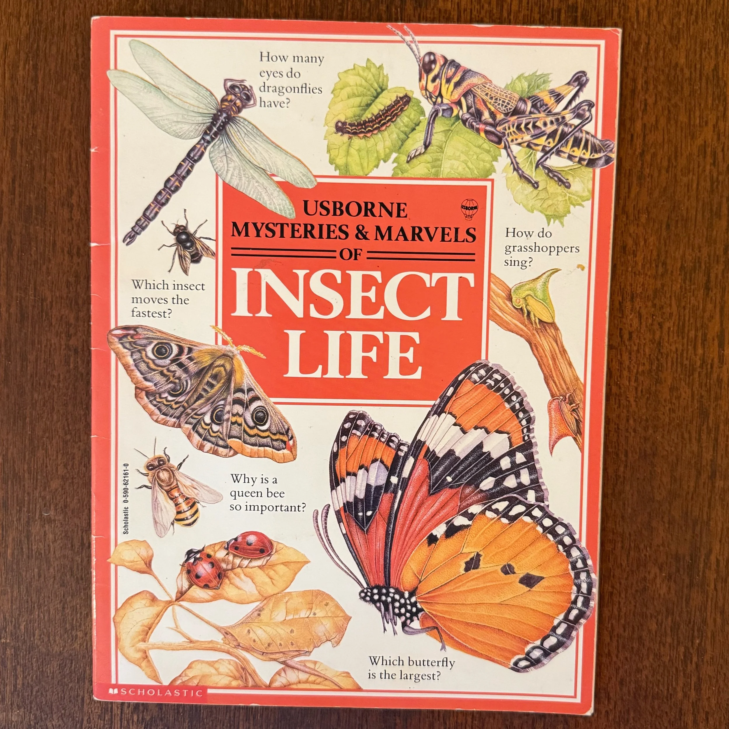 JPEG image-15EDDEE3DDF4-1.jpeg