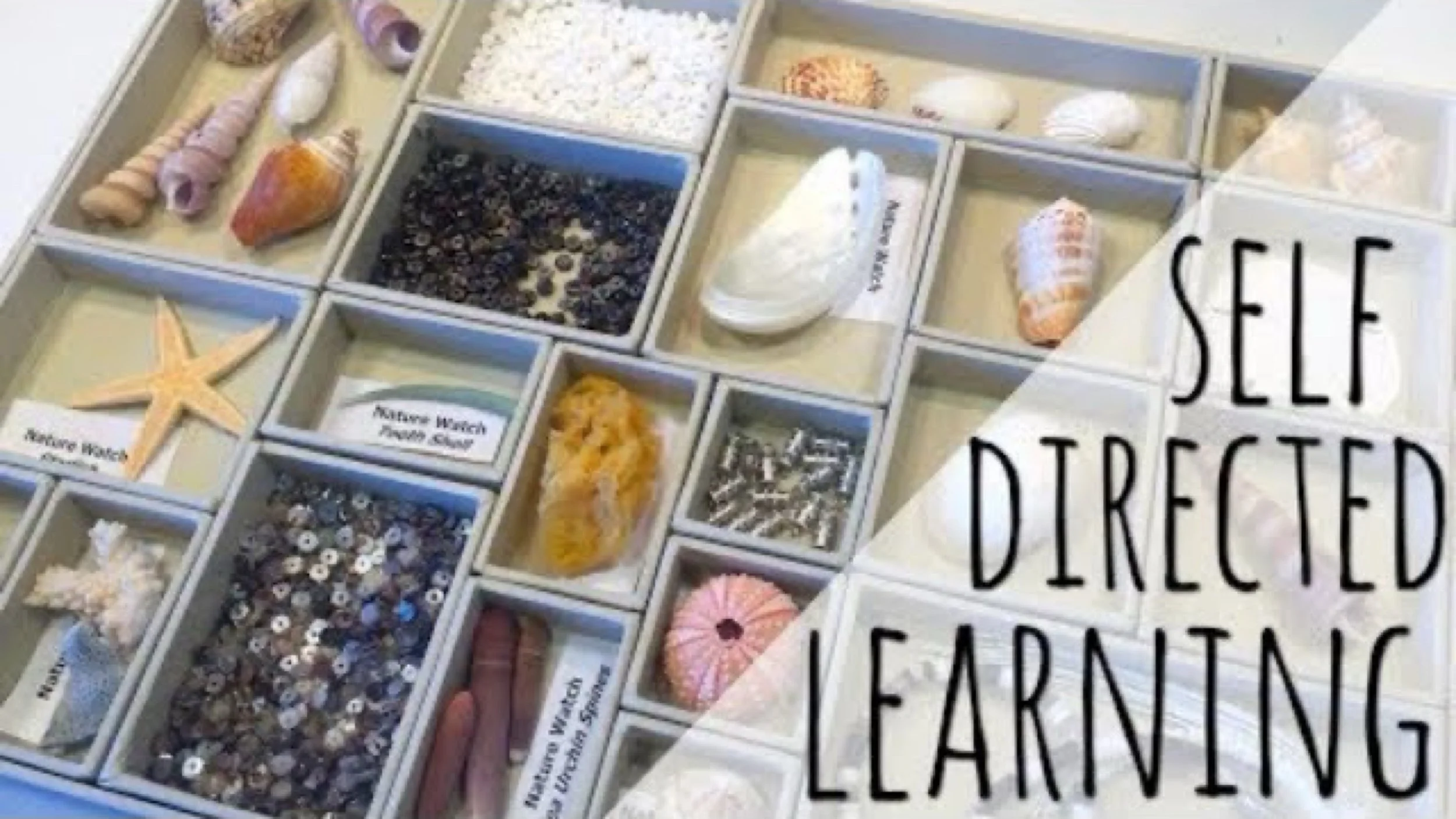 JPEG image-A5B4B2C646CE-1.jpeg