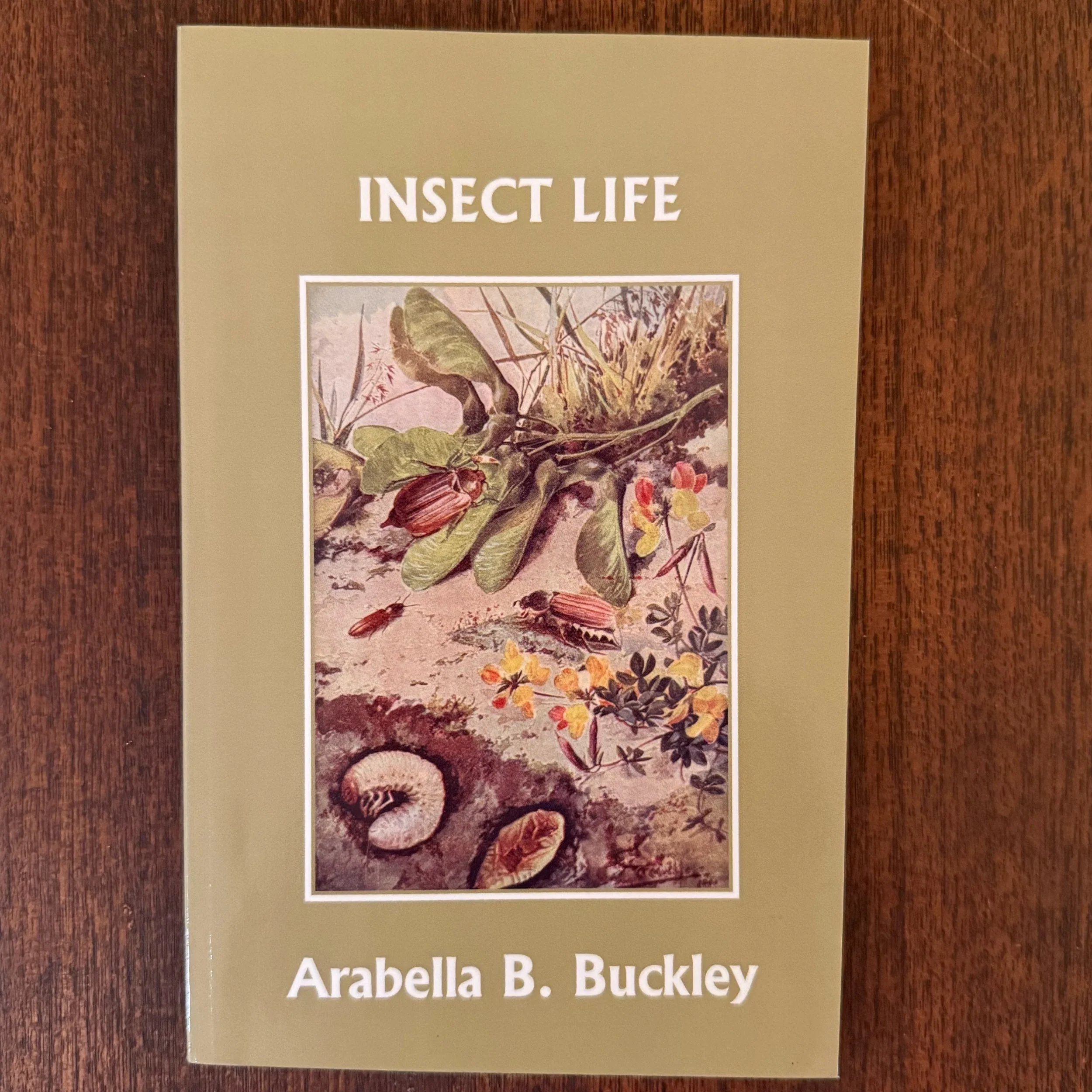 JPEG image-4D8CC36765C8-1.jpeg