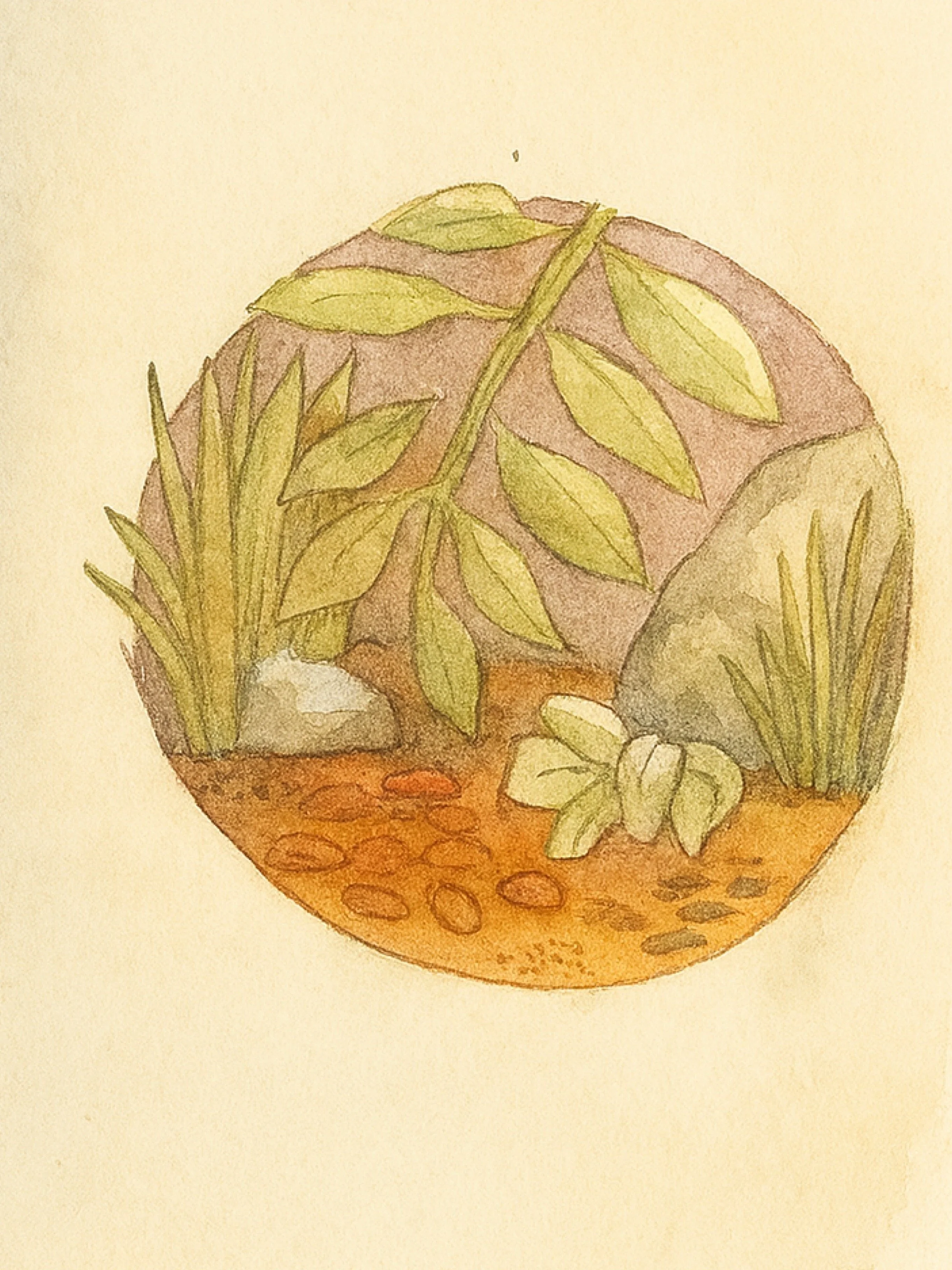 JPEG image-4A0C-B42C-46-0.jpeg