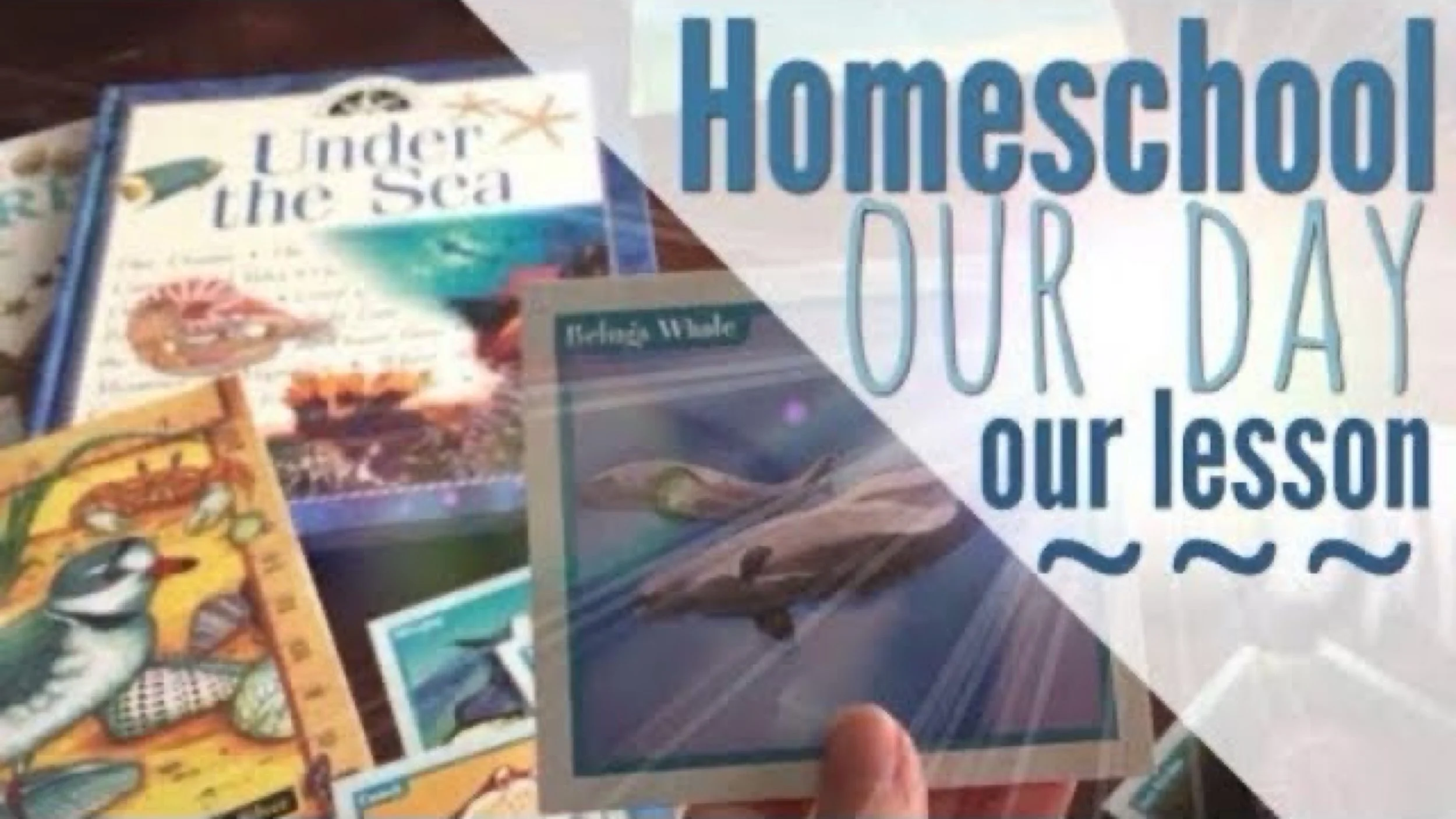 JPEG image-CF0214D31FC7-1.jpeg