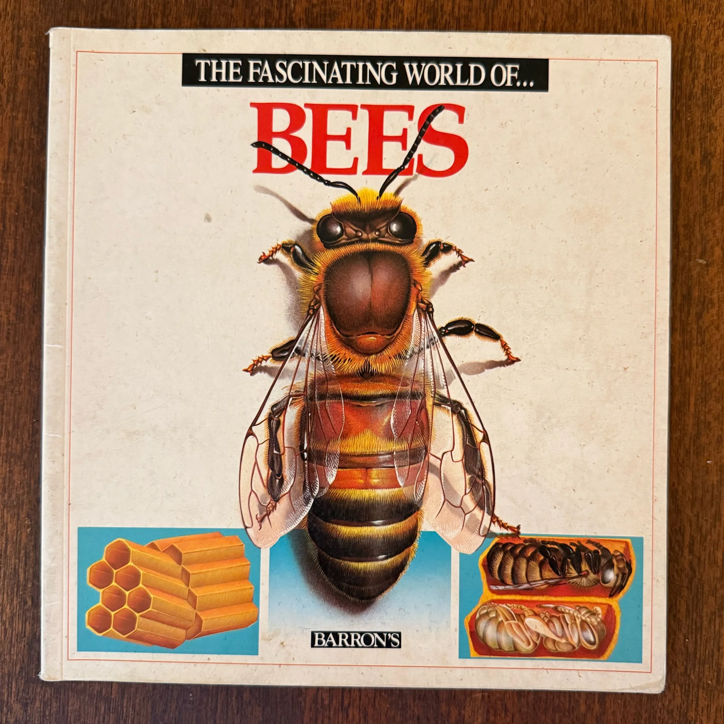 JPEG image-FA9EFF243921-1.jpeg