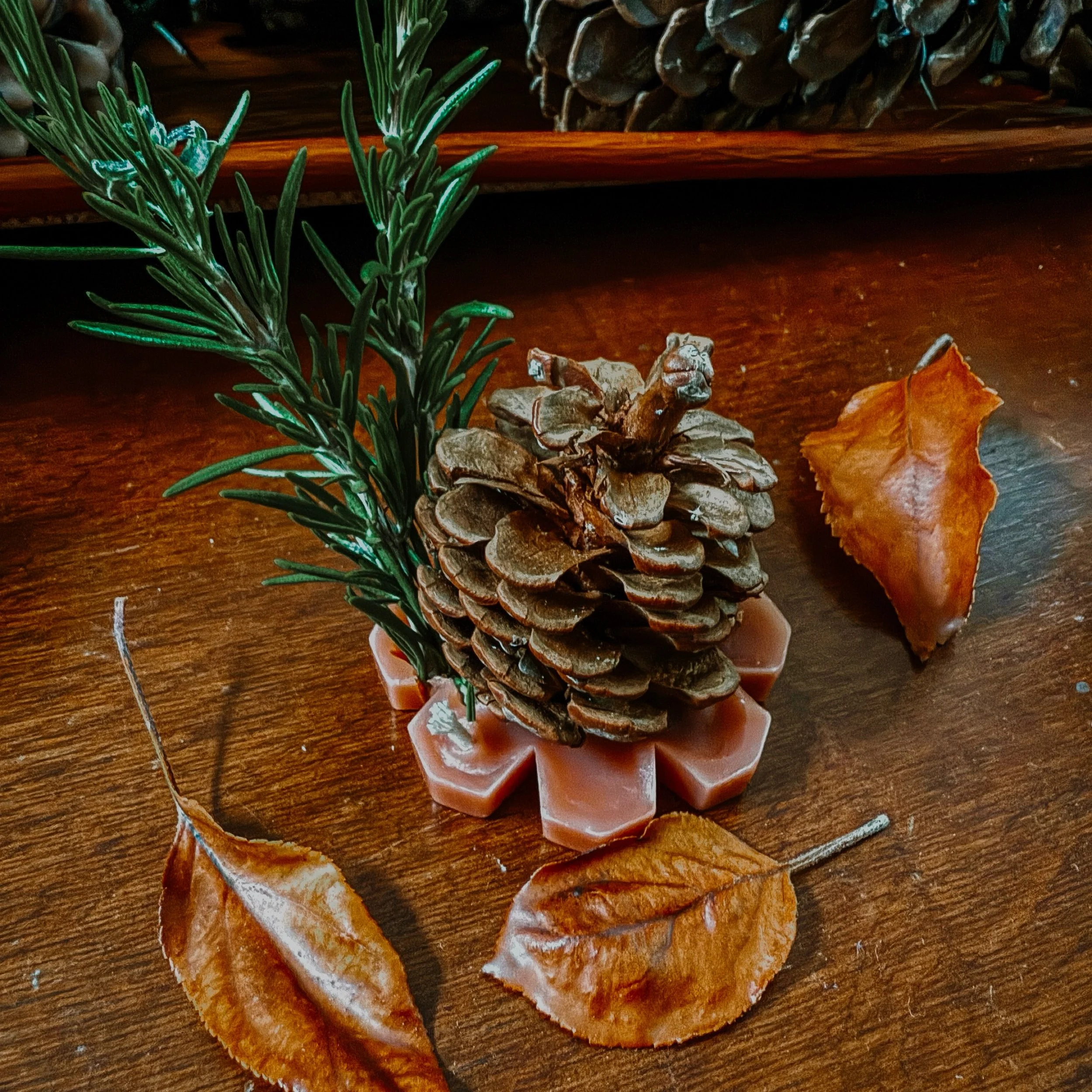 JPEG image-74AD4C7B84F8-1.jpeg