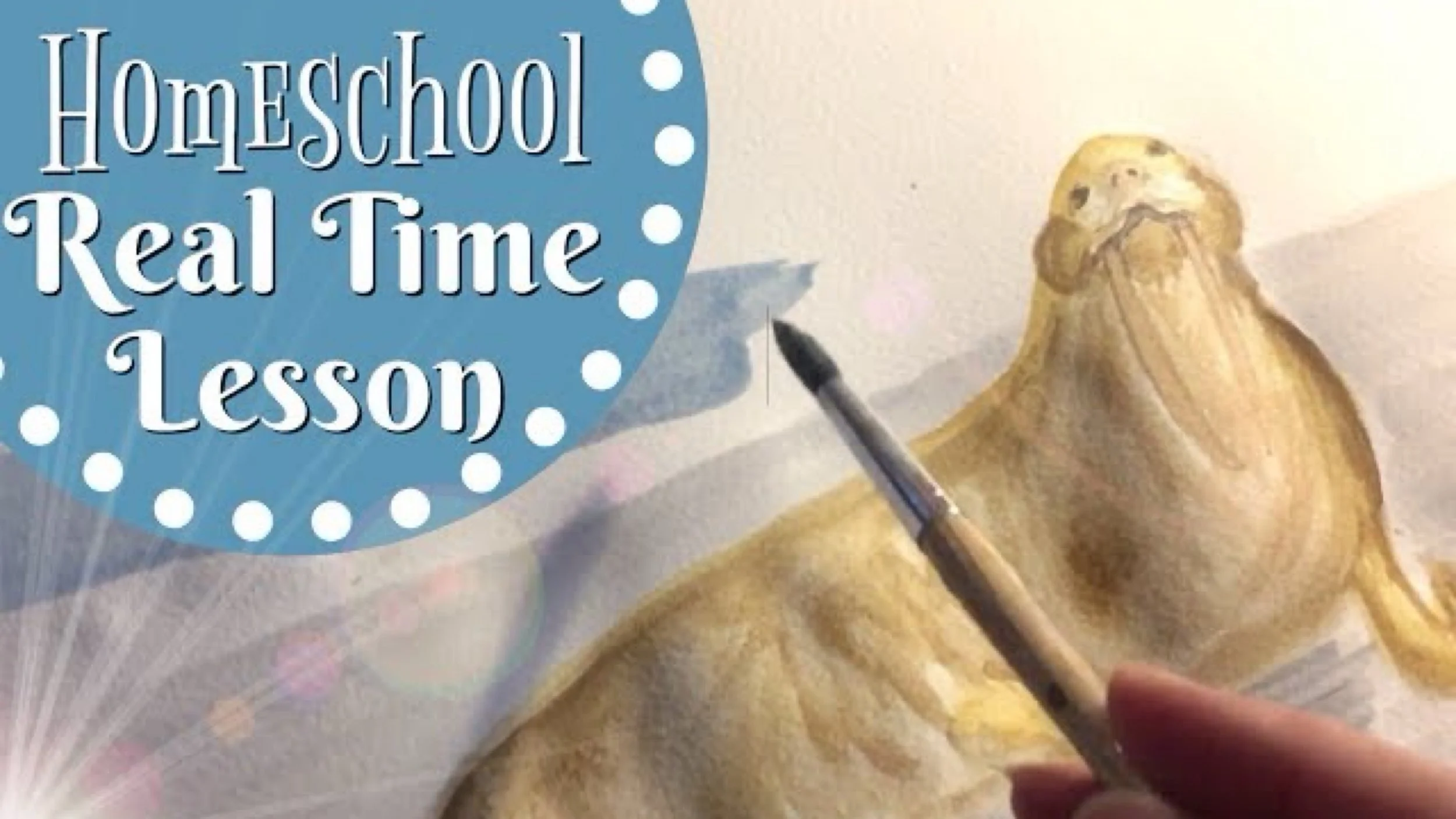 JPEG image-E39F9A8809B3-1.jpeg