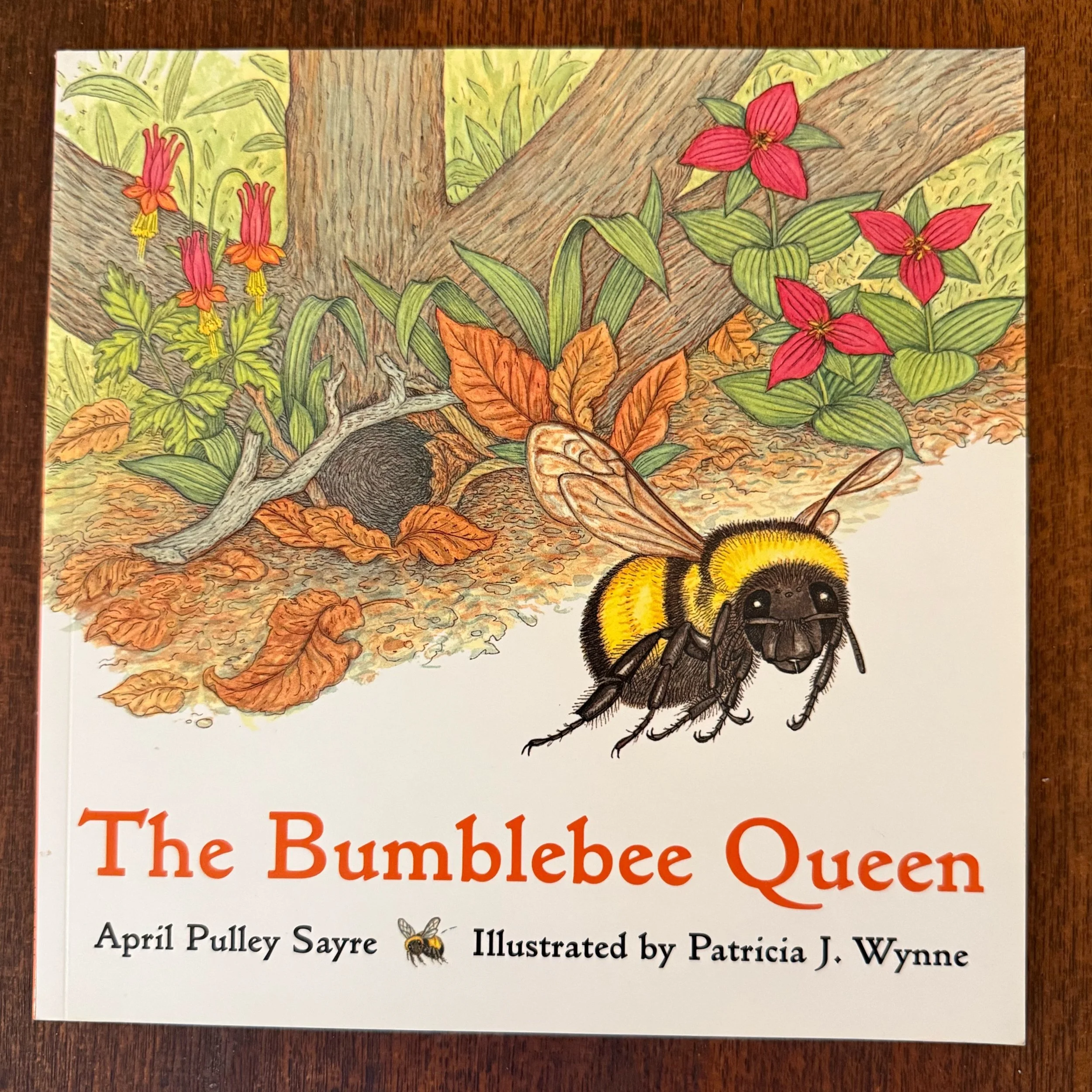 JPEG image-34224D12F21B-1.jpeg