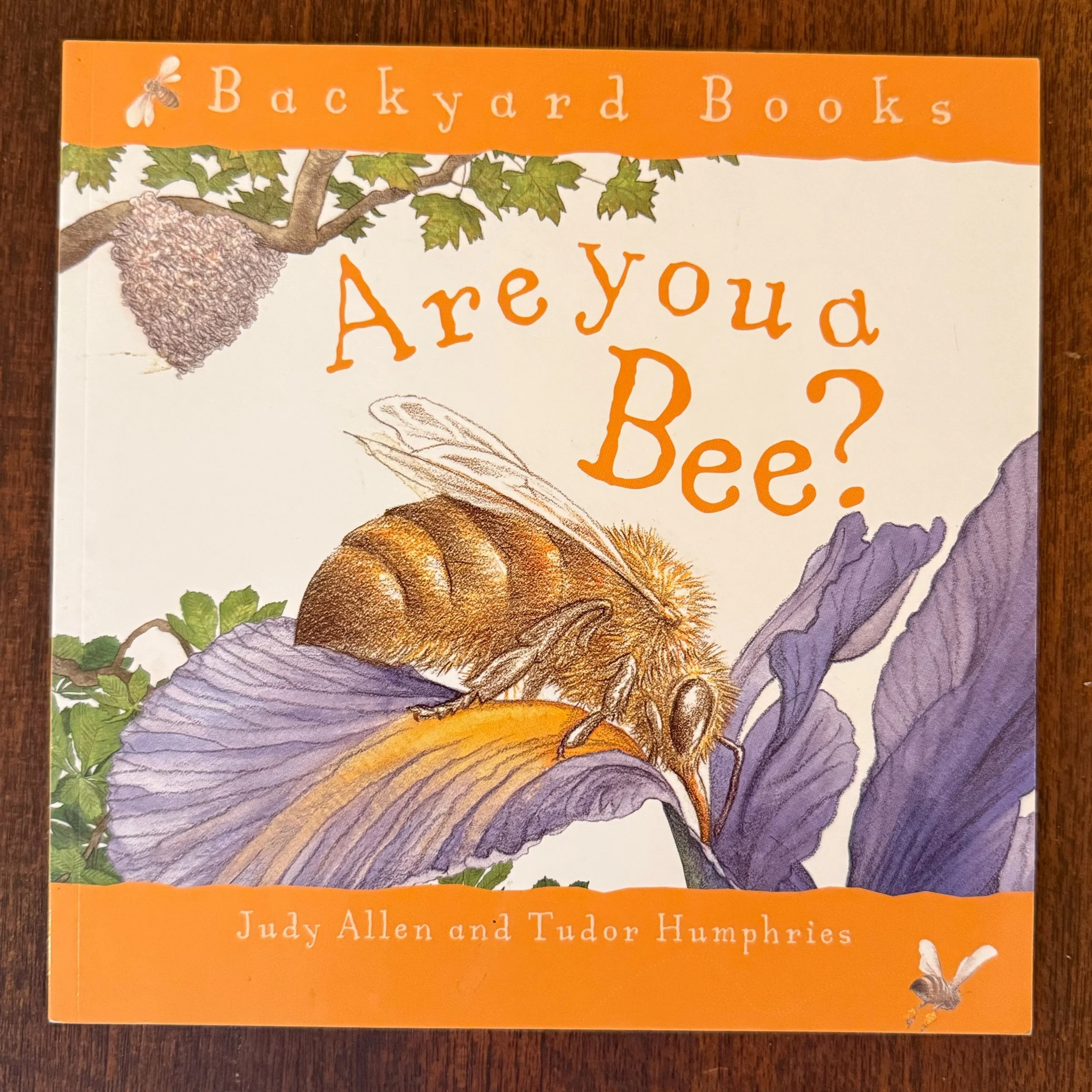 JPEG image-ED241928FA90-1.jpeg